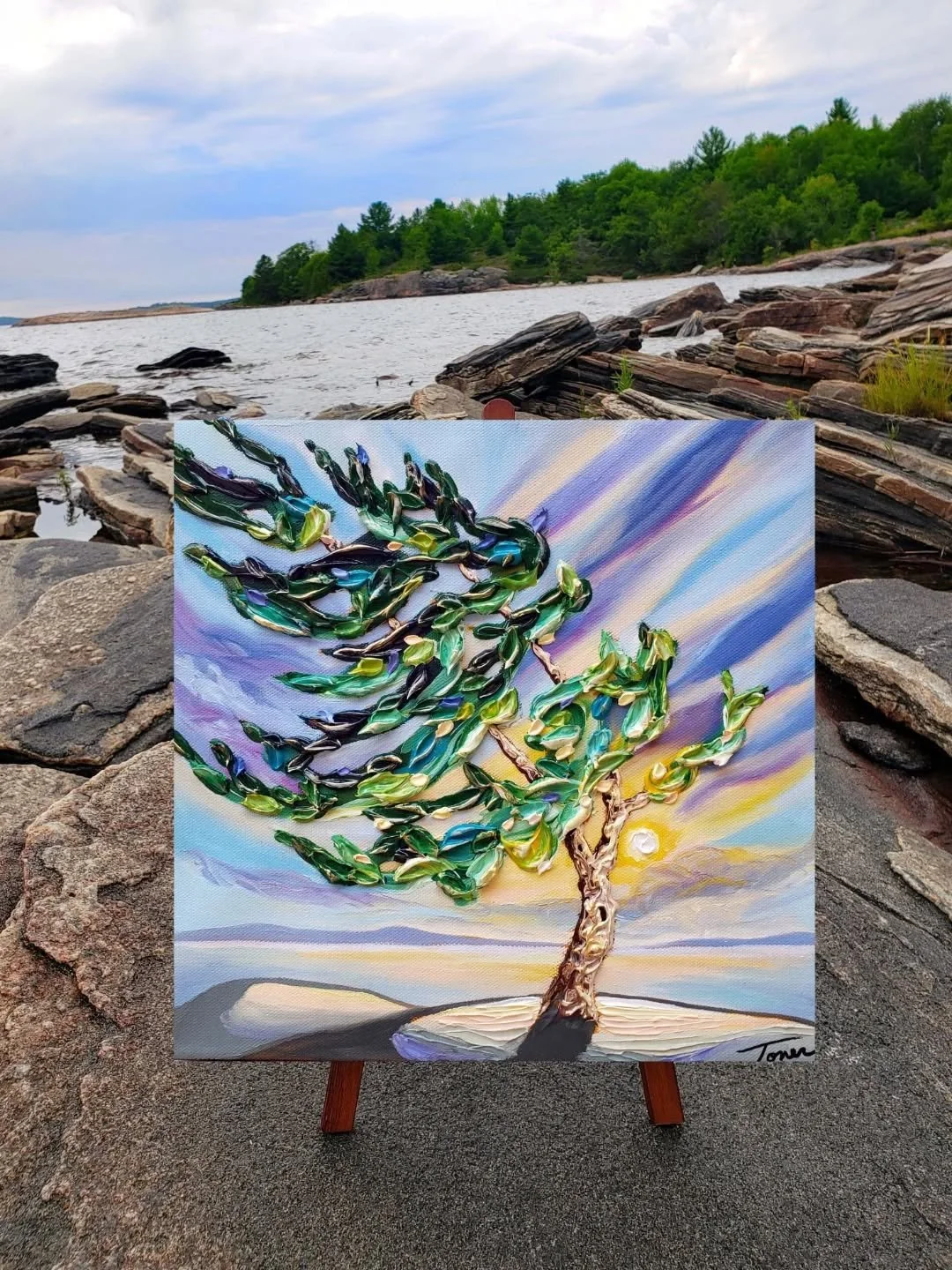 🌿✨ Excited to share a new piece in the&nbsp;Trees&nbsp;@squarefootshow 

'Shaped by the Breeze'&nbsp;captures a windswept tree beneath shifting clouds and a&nbsp;sunset, bathed in a timeless glow.

The title carries a special meaning, reminding us t