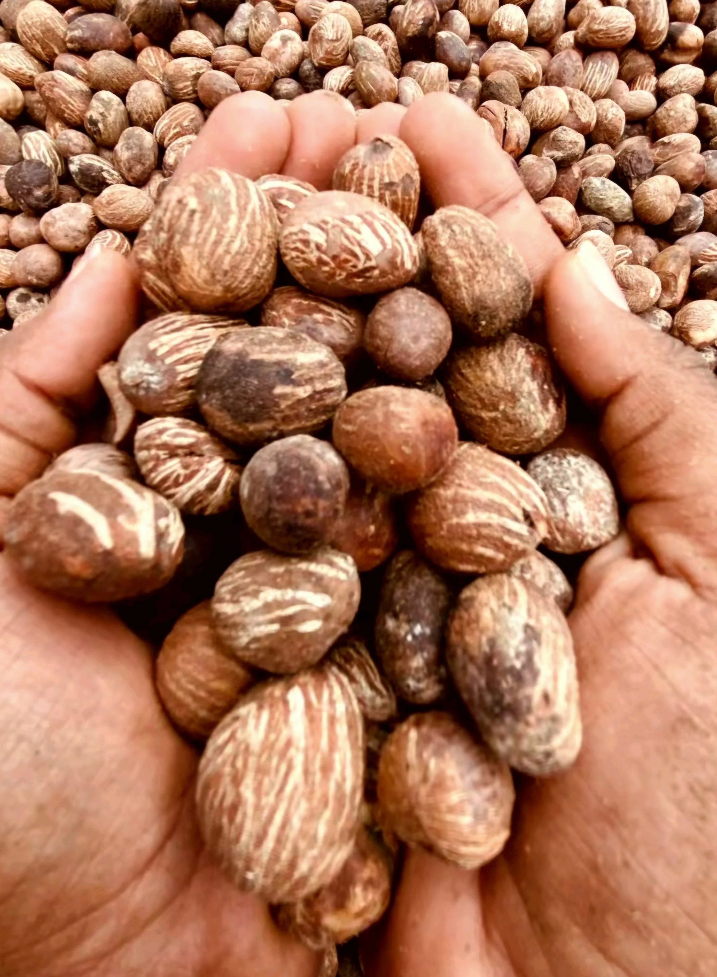 0C23FEBA-1214-4195-9685-C2C6AE654B0A.jpeg (Copy)