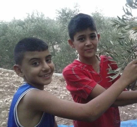 The power of weeding