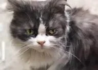 A guest in our shelter! 