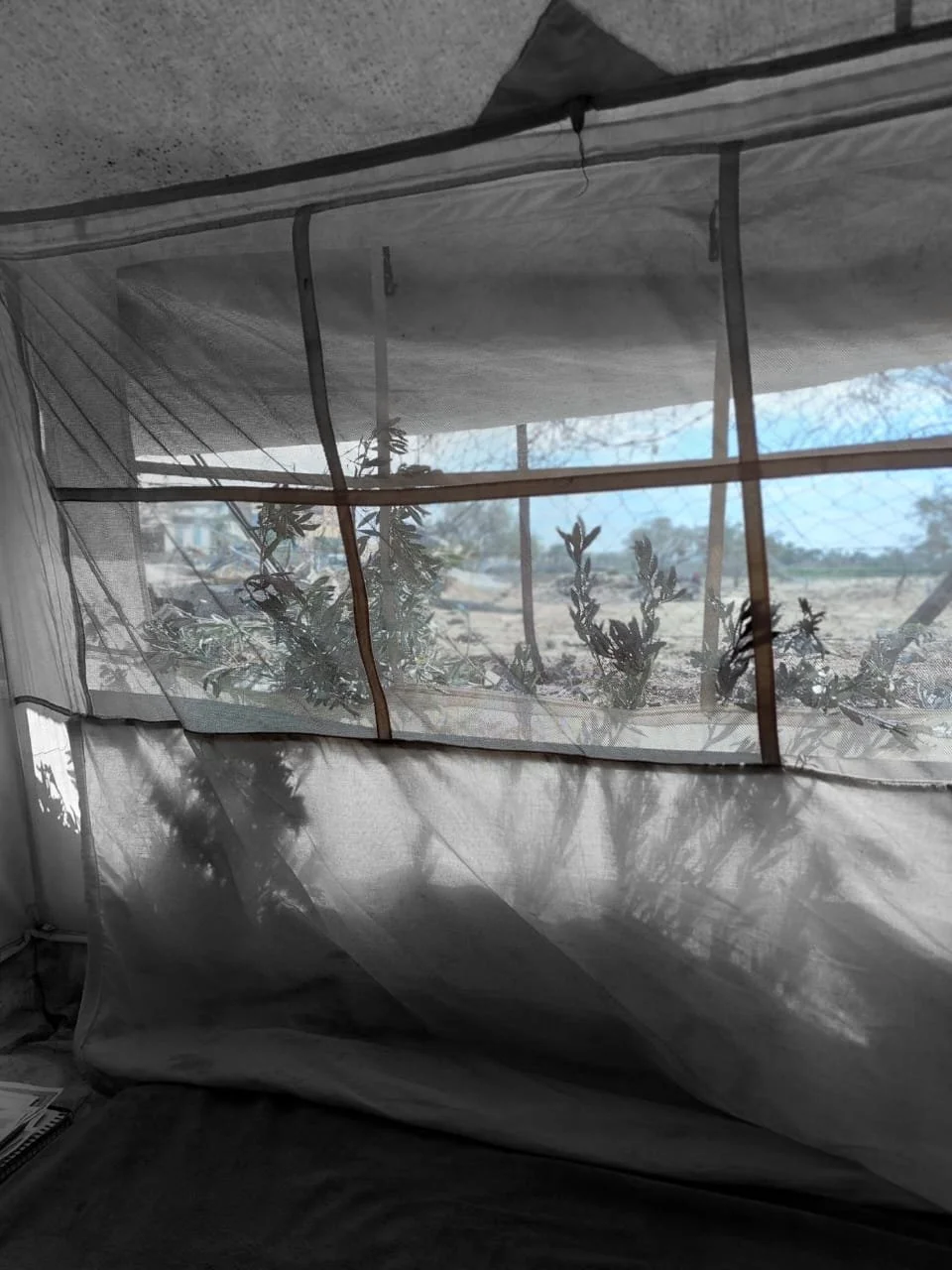 WhatsApp Image 2025-10-09 at 13.28.49.jpeg