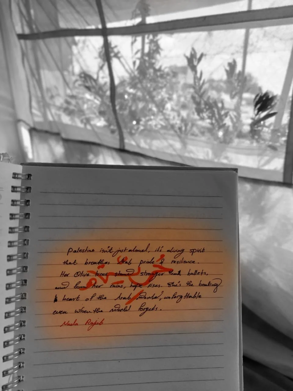 WhatsApp Image 2025-10-09 at 13.38.12.jpeg