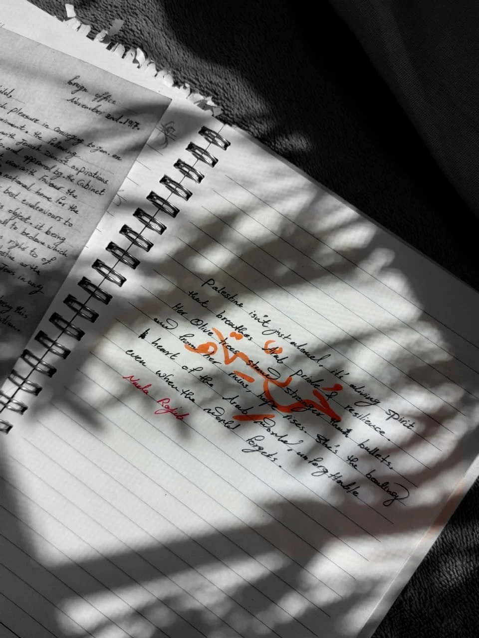 WhatsApp Image 2025-10-09 at 13.38.23.jpeg