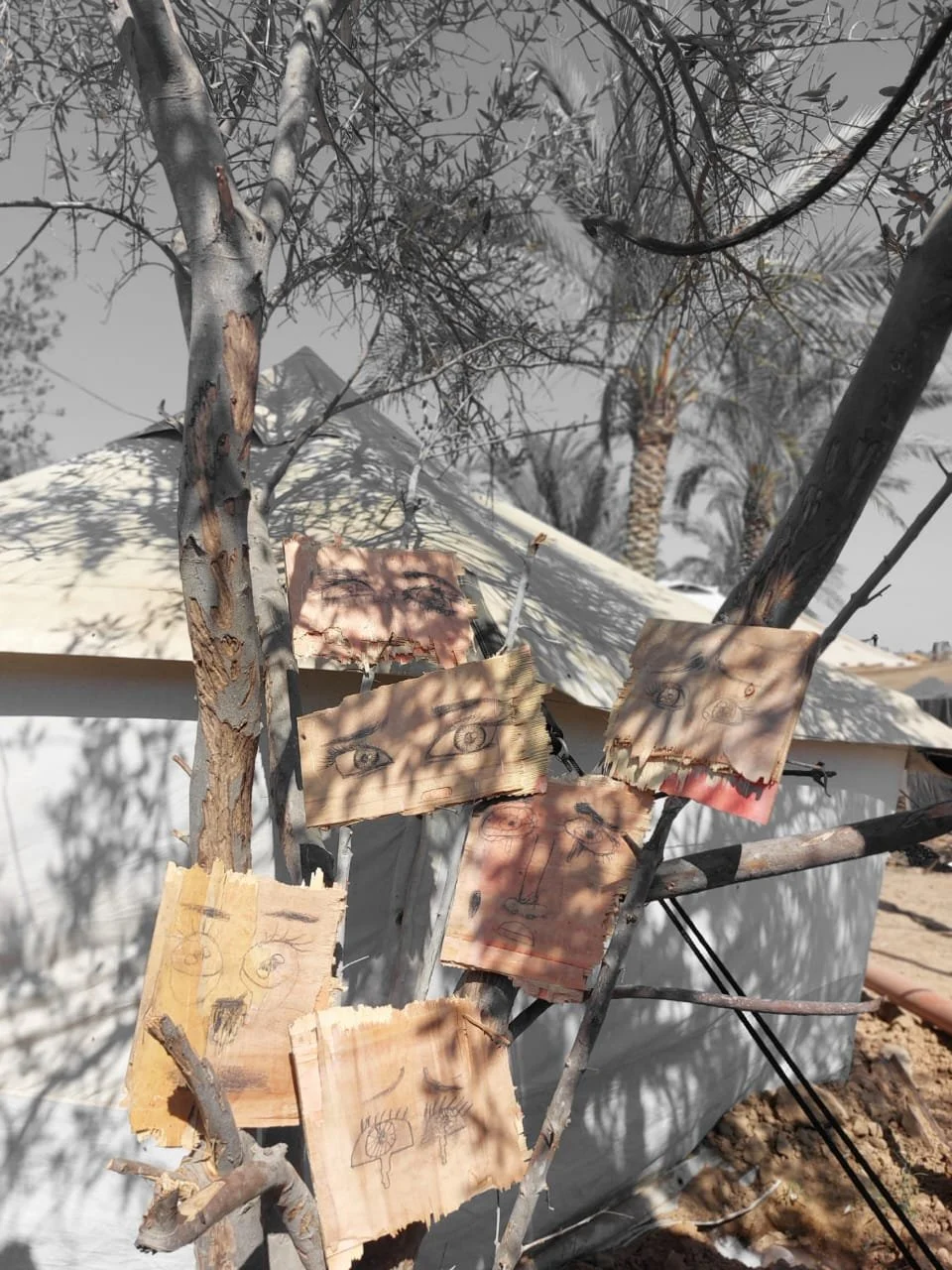 WhatsApp Image 2025-10-13 at 14.47.02.jpeg