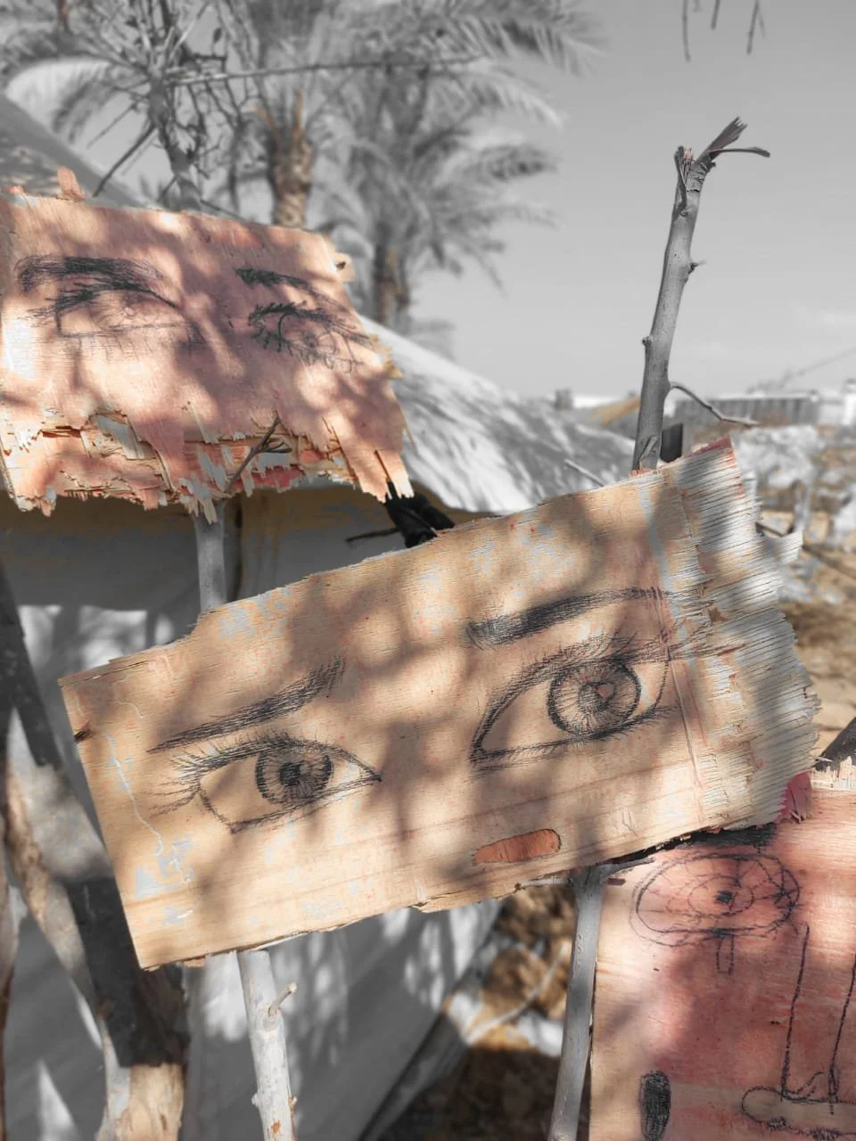 WhatsApp Image 2025-10-13 at 14.47.03.jpeg