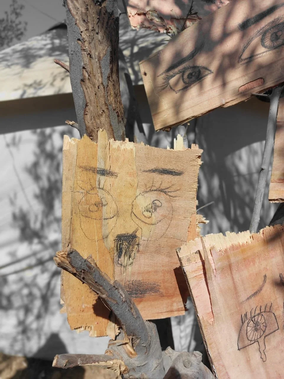 WhatsApp Image 2025-10-13 at 14.47.04.jpeg