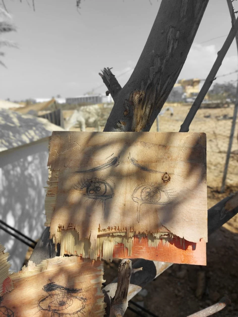 WhatsApp Image 2025-10-13 at 14.47.08.jpeg