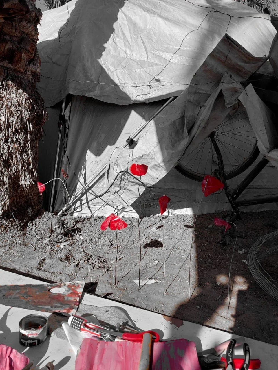 WhatsApp Image 2025-11-01 at 15.56.23.jpeg