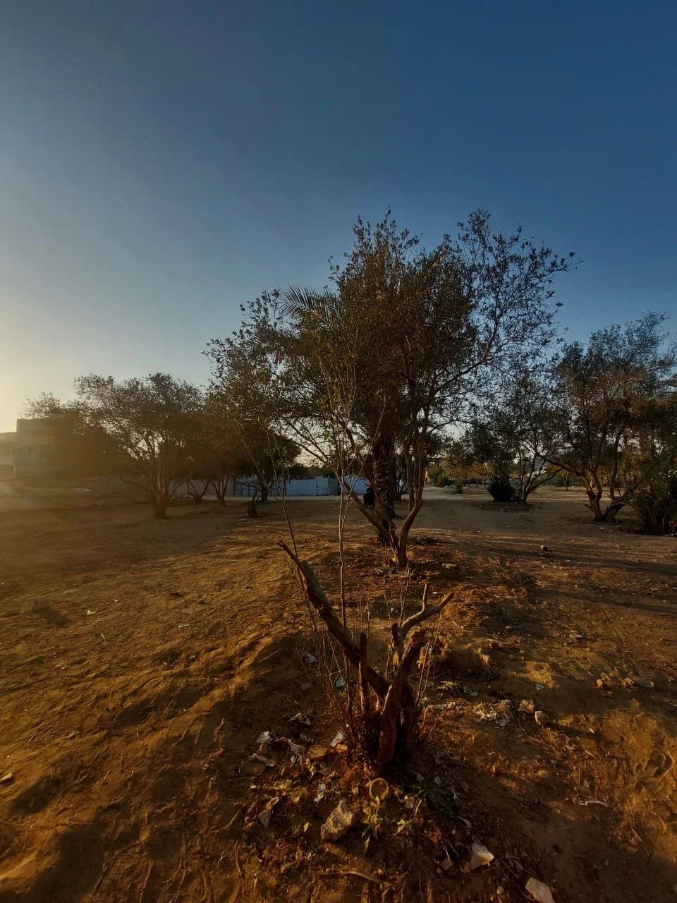 WhatsApp Image 2025-11-02 at 17.37.31.jpeg