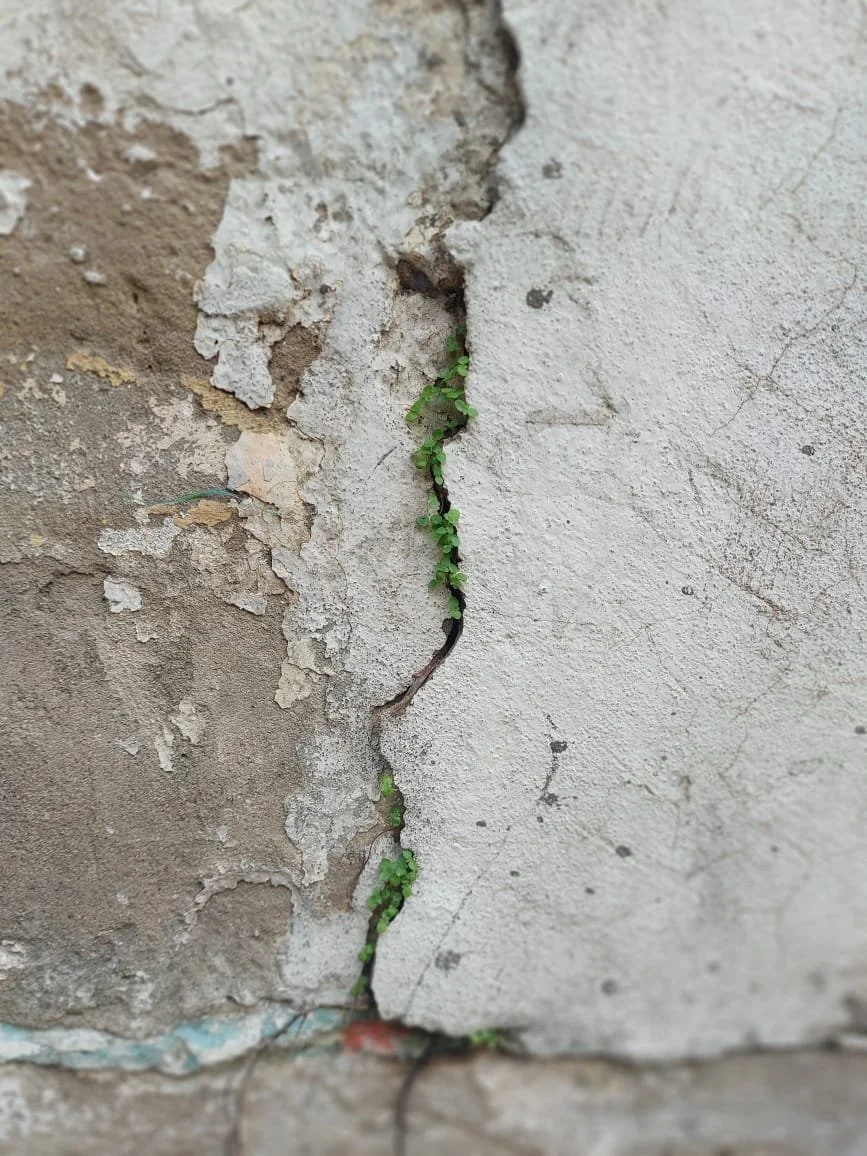 WhatsApp Image 2026-01-08 at 13.47.42 (2).jpeg