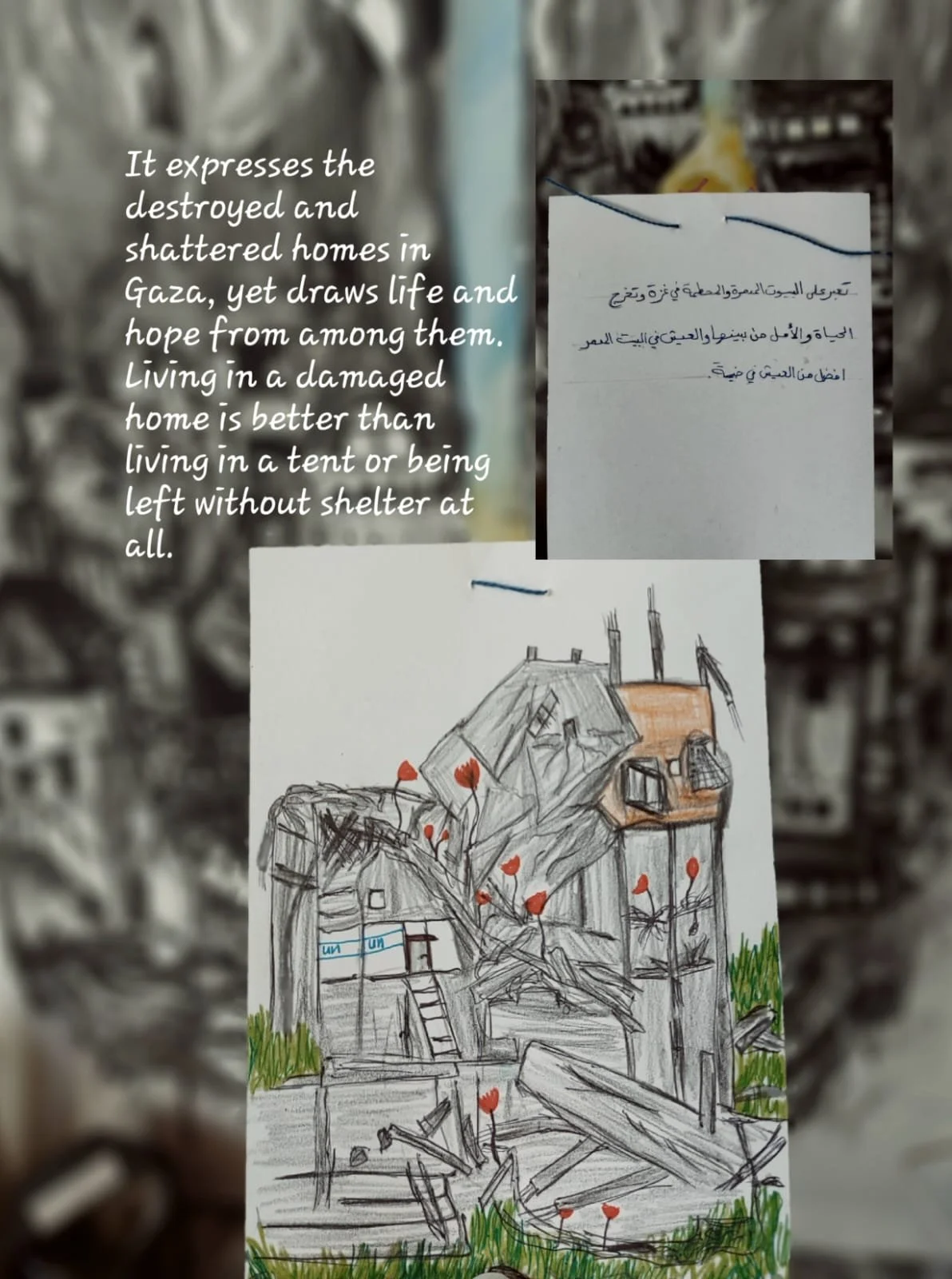 WhatsApp Image 2026-02-08 at 15.30.27 (1).jpeg