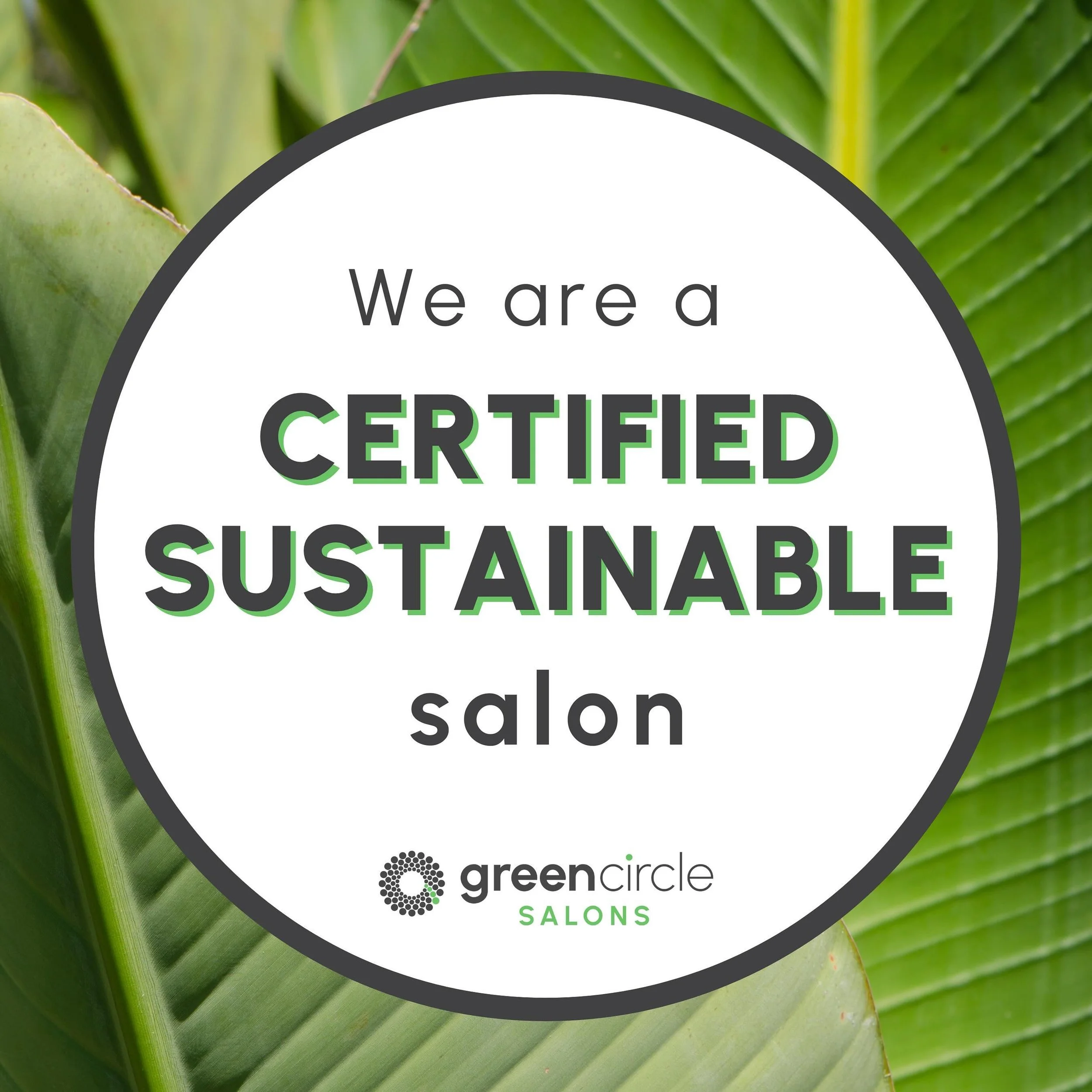 Being a green circle salon means we recycle up to 95% of our salon waste! Hair, used foils, excess hair color, and other beauty waste with @greencirclesalons instead of sending it to the landfill 💚🍃🌿 

#BetterBeautyNow #GreenSalon #SustainableBeau