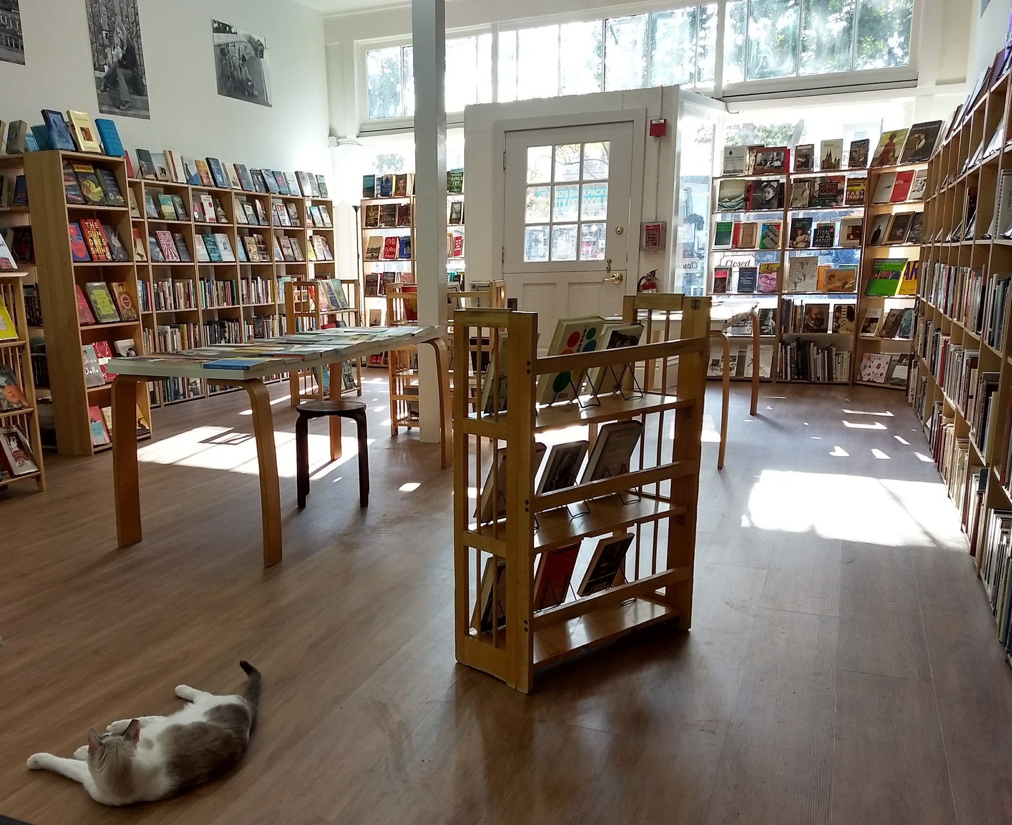 It's Independent Bookstore Day. 🕊 📖 Visit your local indie bookstore today for your weekend literature fix.
.
.
.
📷: @sleepycatbooks on Telegraph Ave. 📜