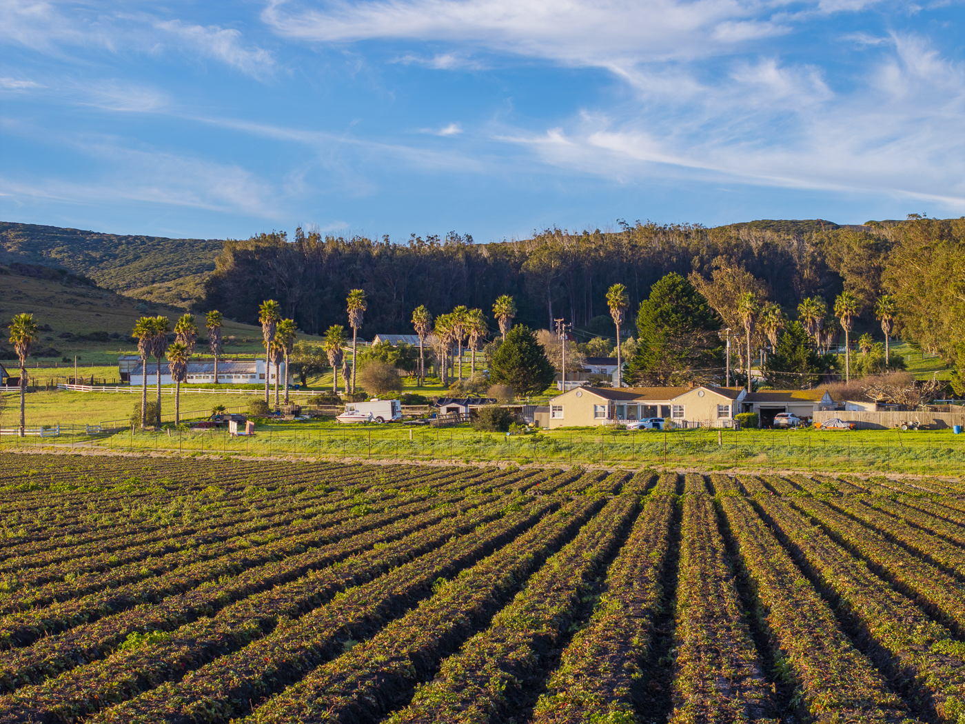 Hillside Ranch - Green - Web-7.png