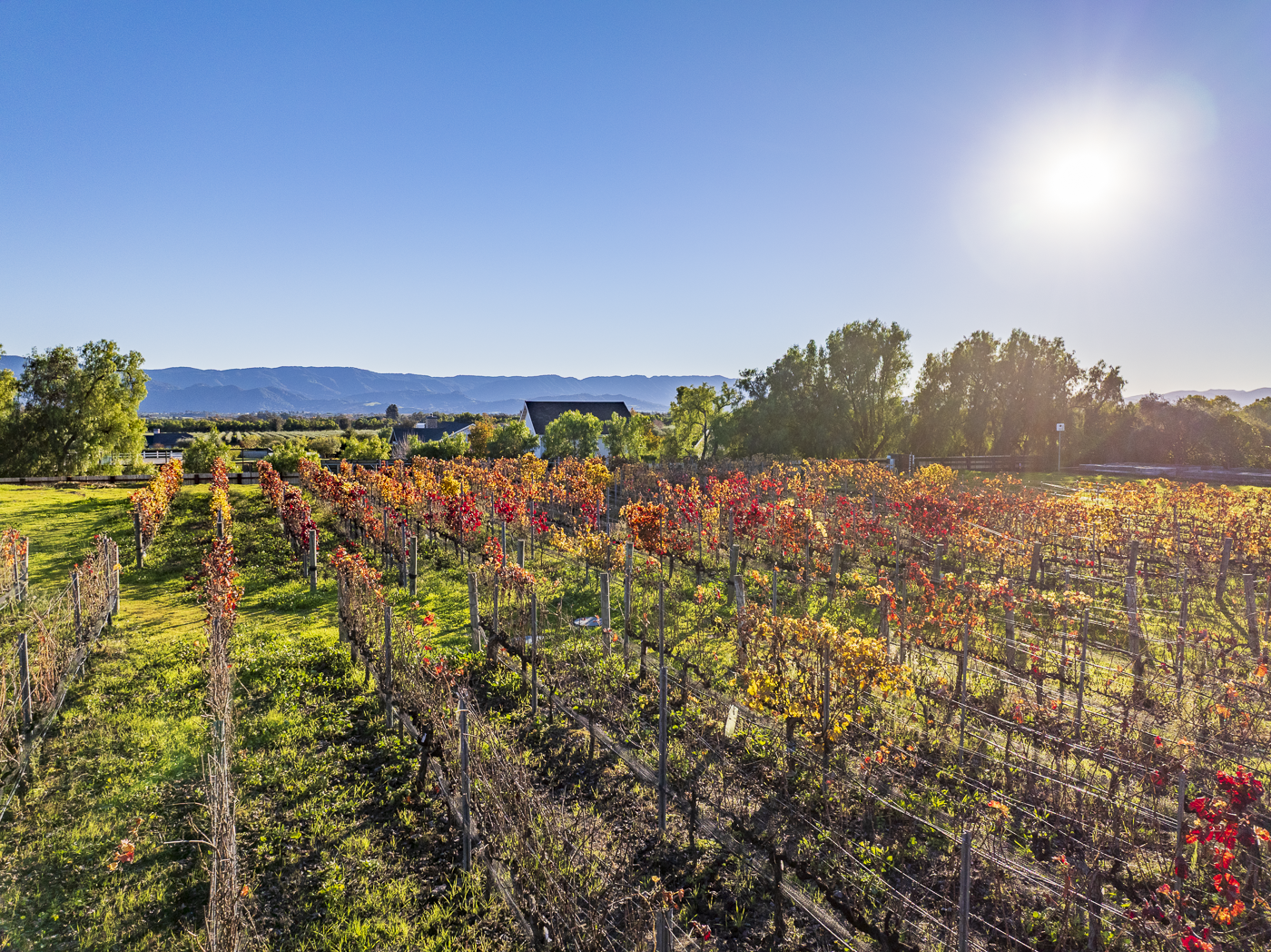 39 - Big Pond Ranch MLS.png