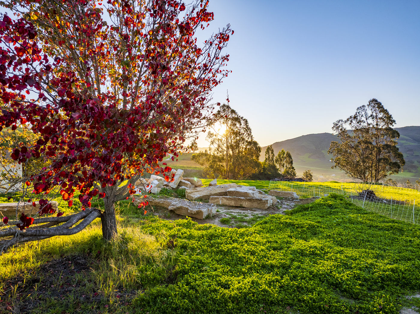11 Mail Rd in Lompoc - 2026 - Web-29.png