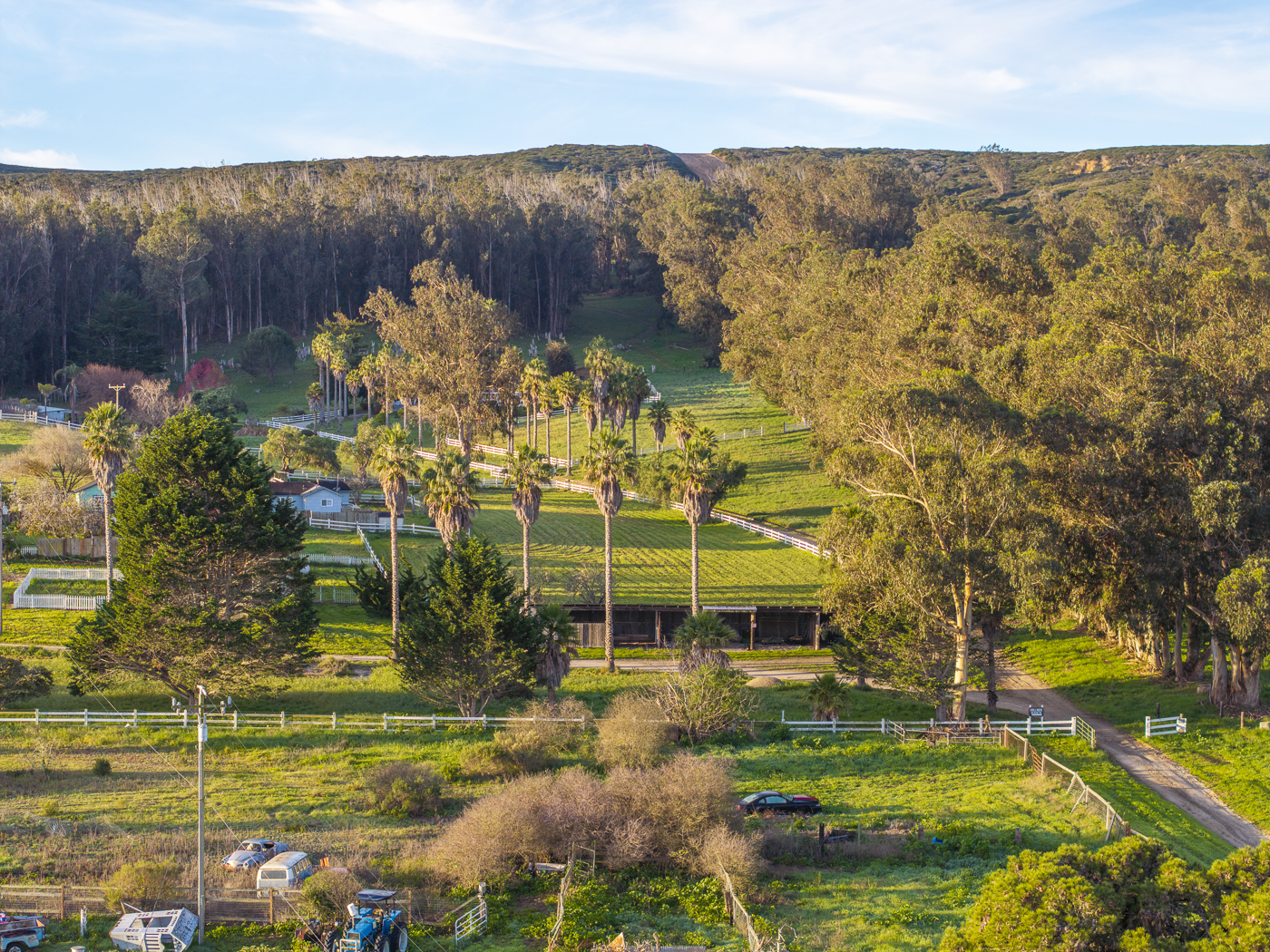 Hillside Ranch - Green - Web-19.png