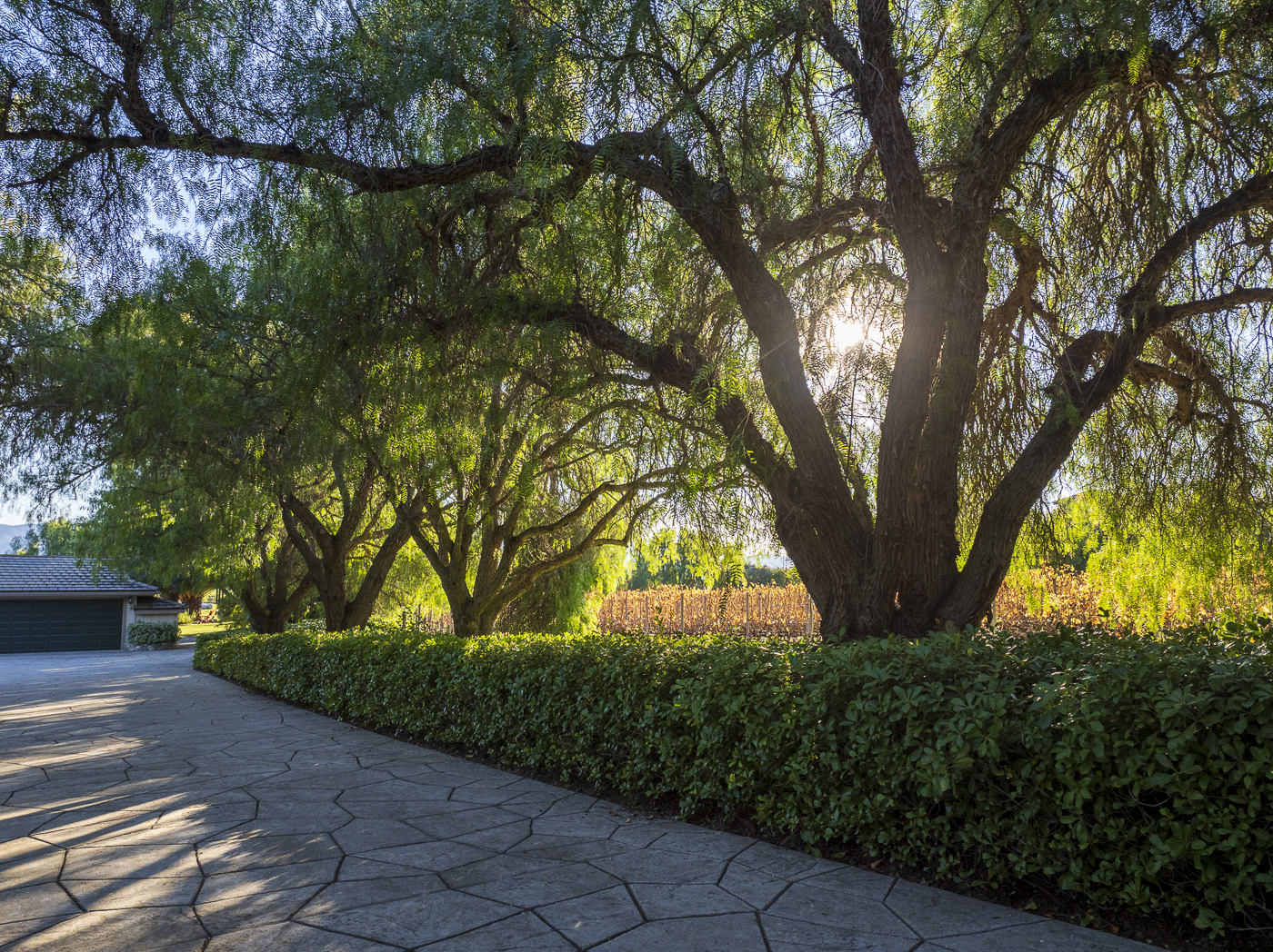 6 - Big Pond Ranch MLS.png