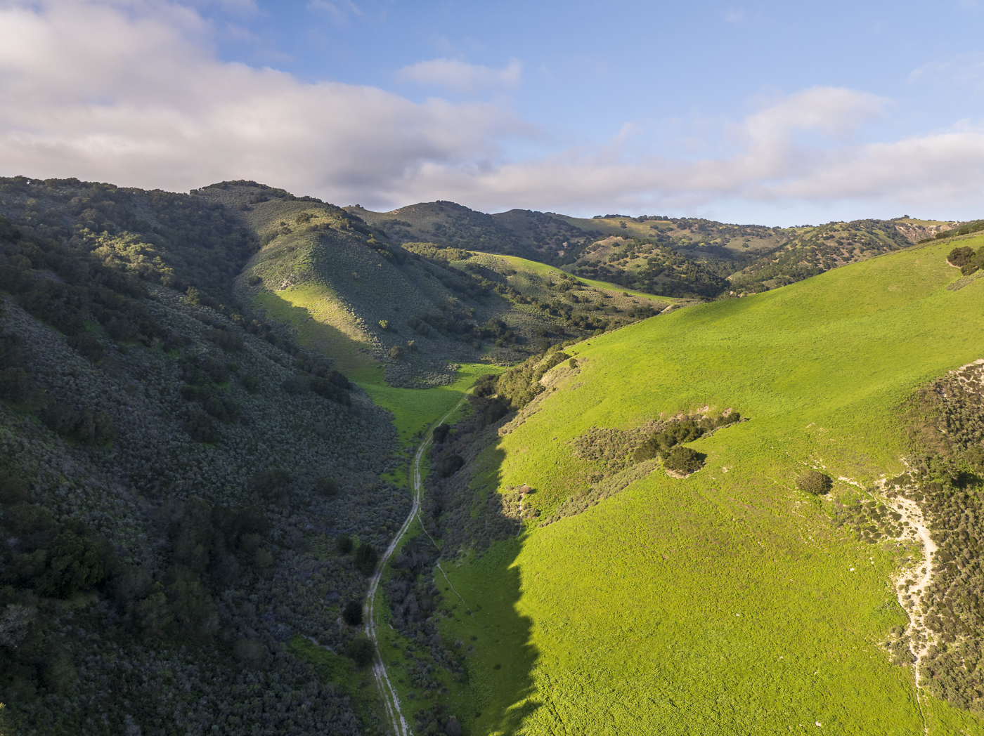 Red Rock Ranch - Web-10.png