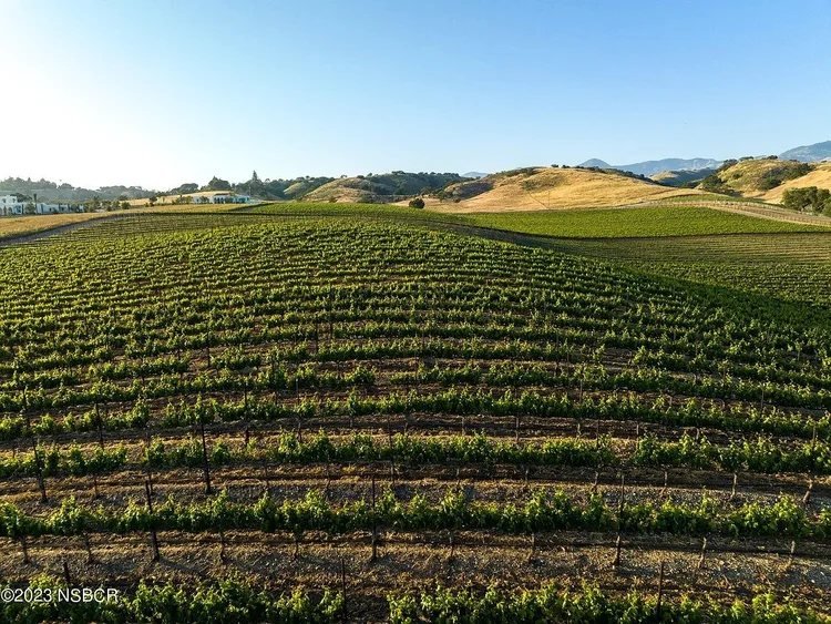 2175 Mora Ave, Santa Ynez