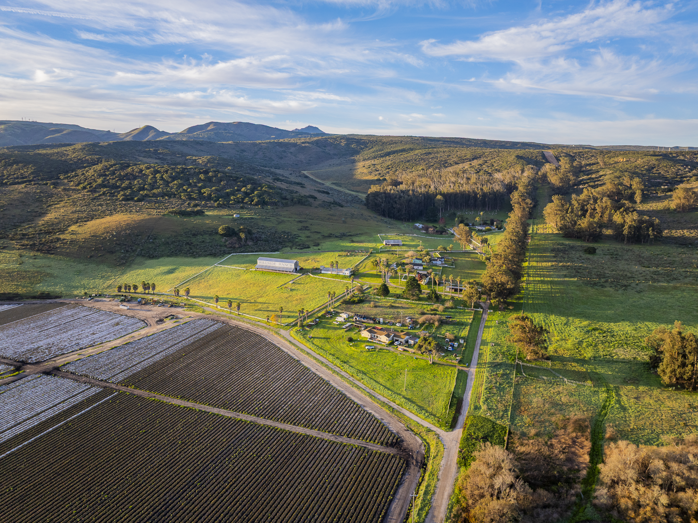 Hillside Ranch - Green - Web-3.png