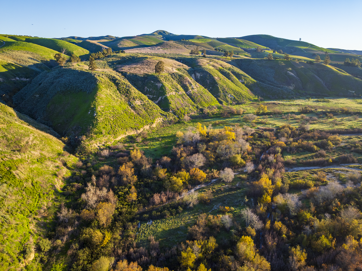 11 Mail Rd in Lompoc - 2026 - Web-11.png