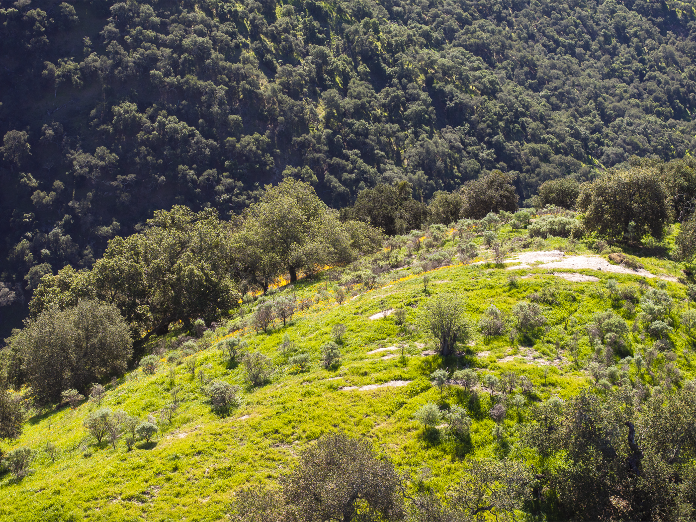 Red Rock Ranch - Web-31.png