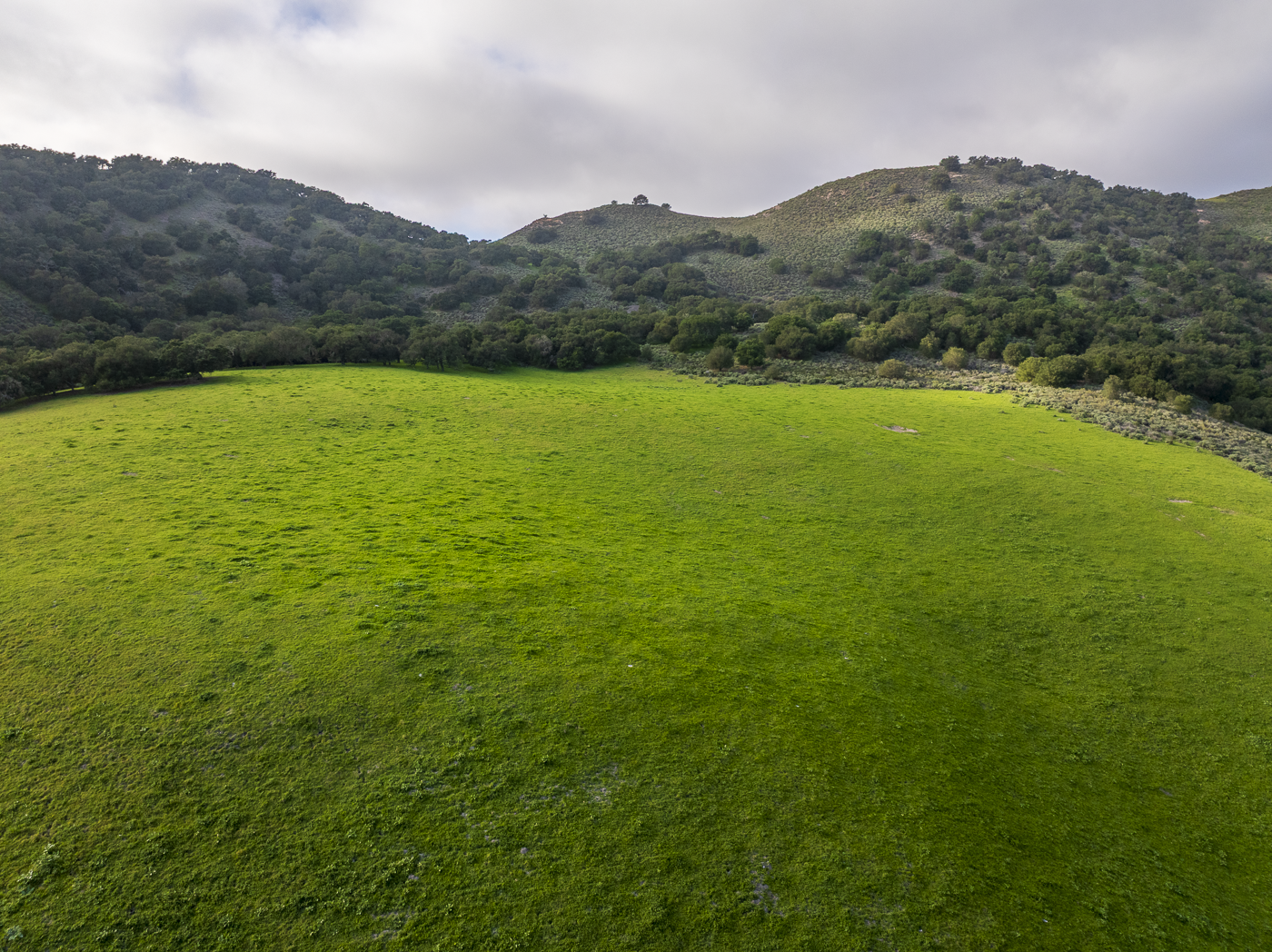 Red Rock Ranch - Web-18.png