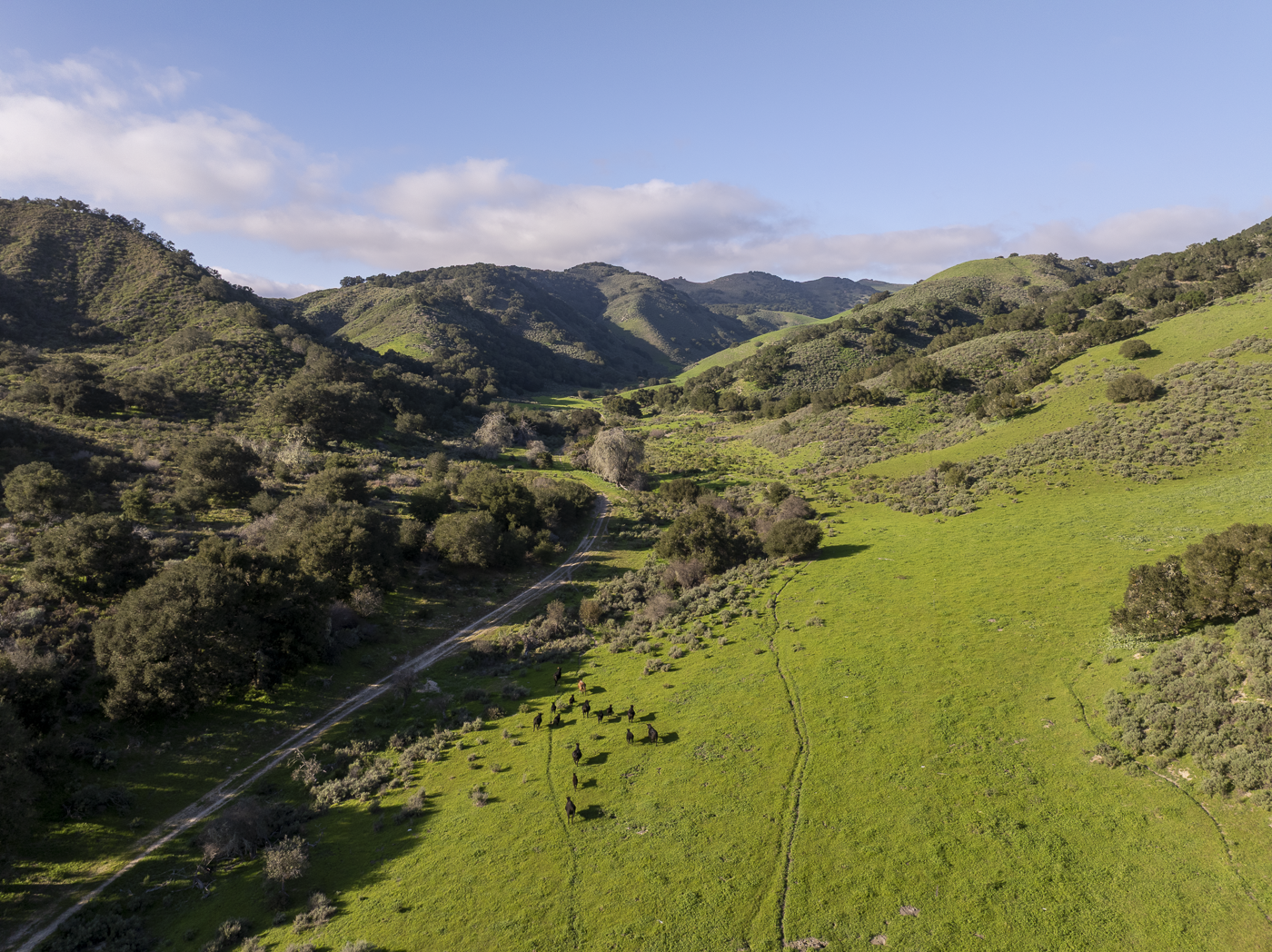 Red Rock Ranch - Web-08.png