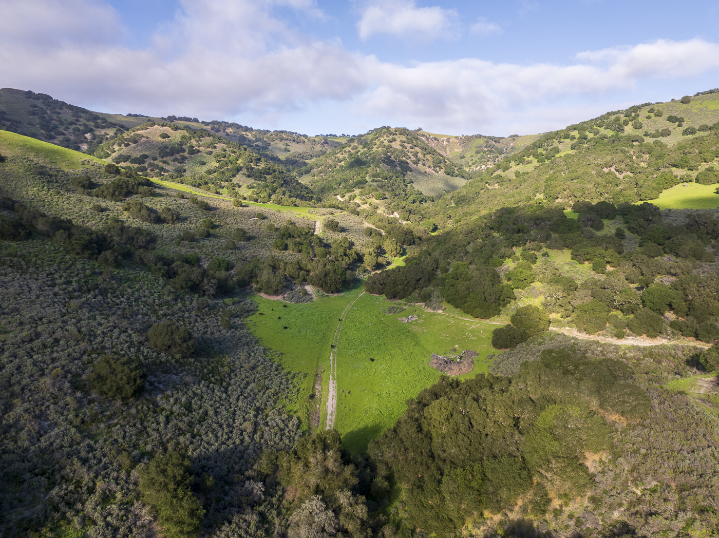 Red Rock Ranch - Web-13.png