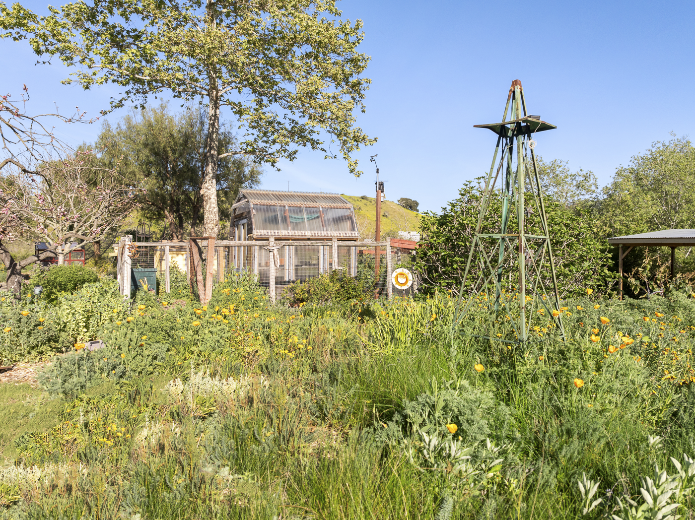 3226 Jalama Rd - MLS Web-63.png