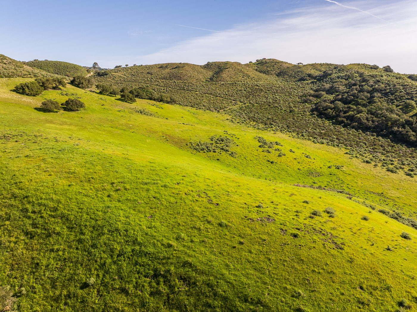 Red Rock Ranch - Web-35.png
