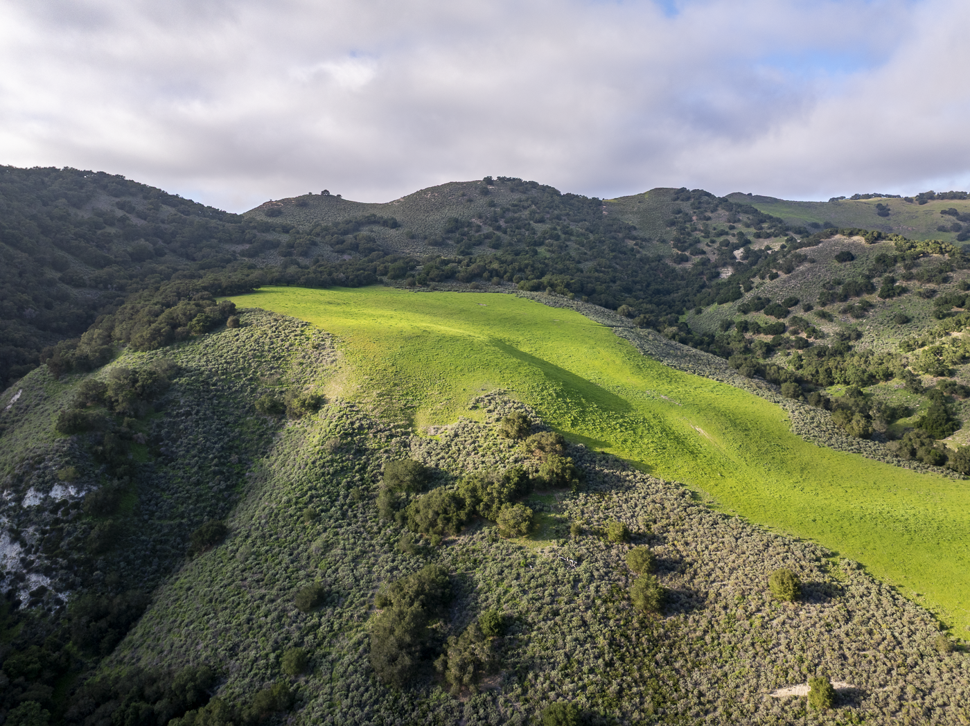 Red Rock Ranch - Web-17.png