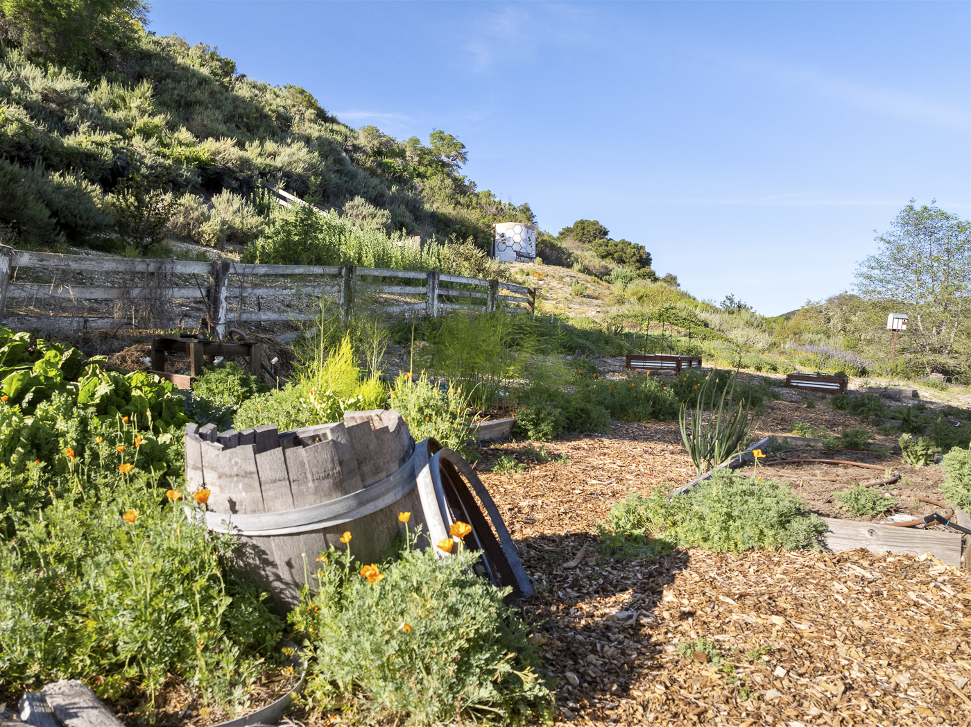 3226 Jalama Rd - MLS Web-76.png