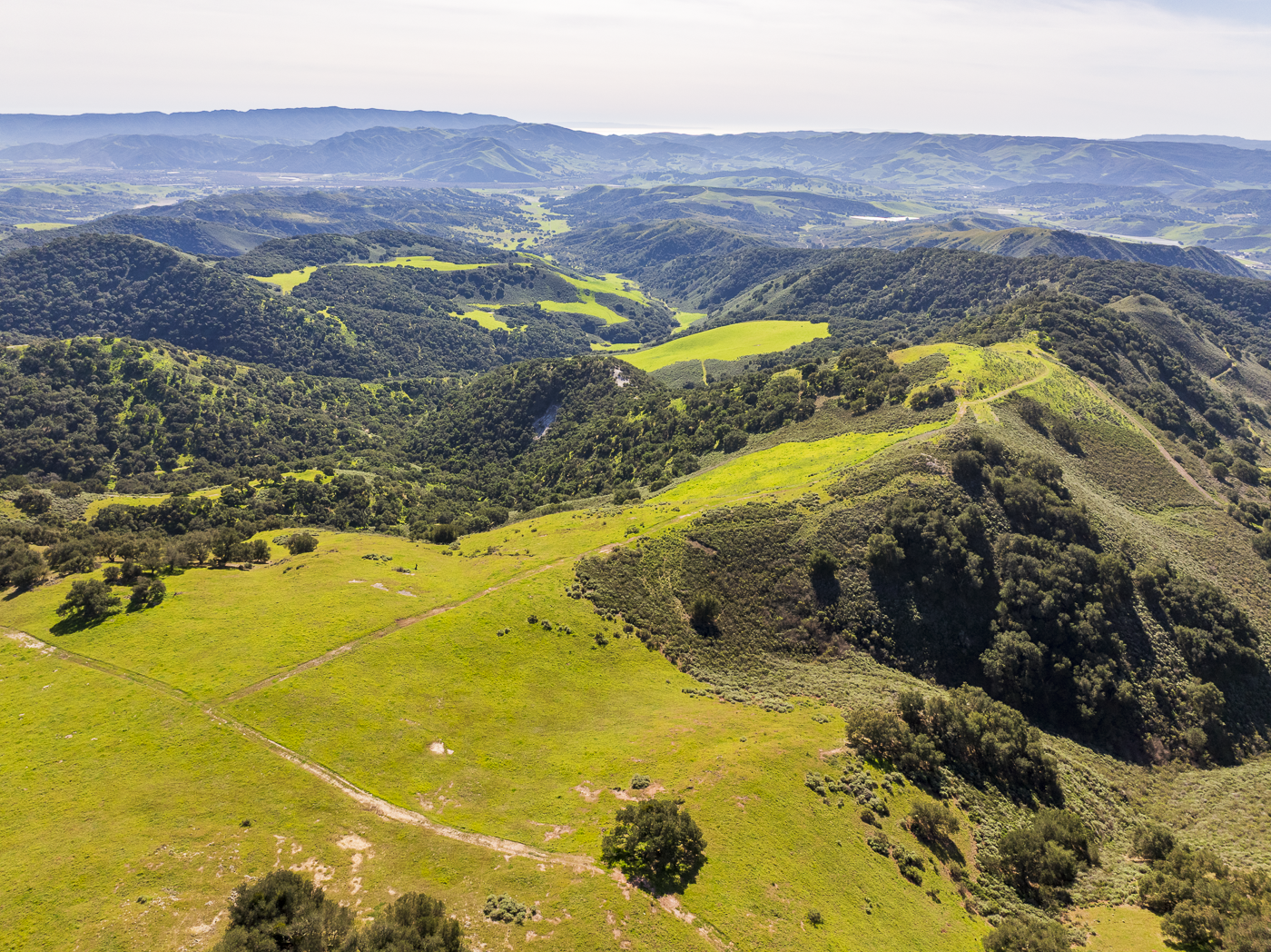 Red Rock Ranch - Web-26.png