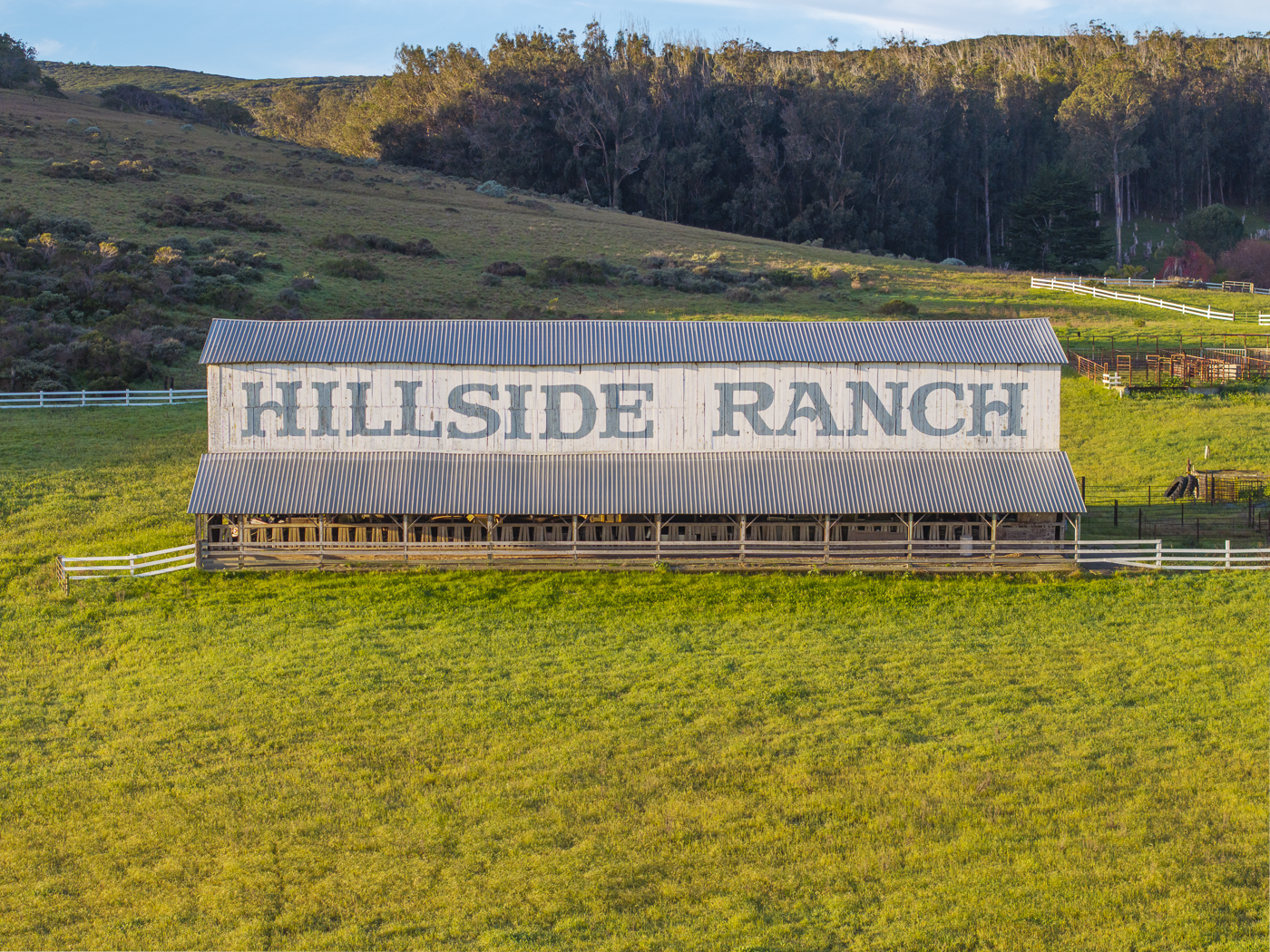 Hillside Ranch - Green - Web-11.png
