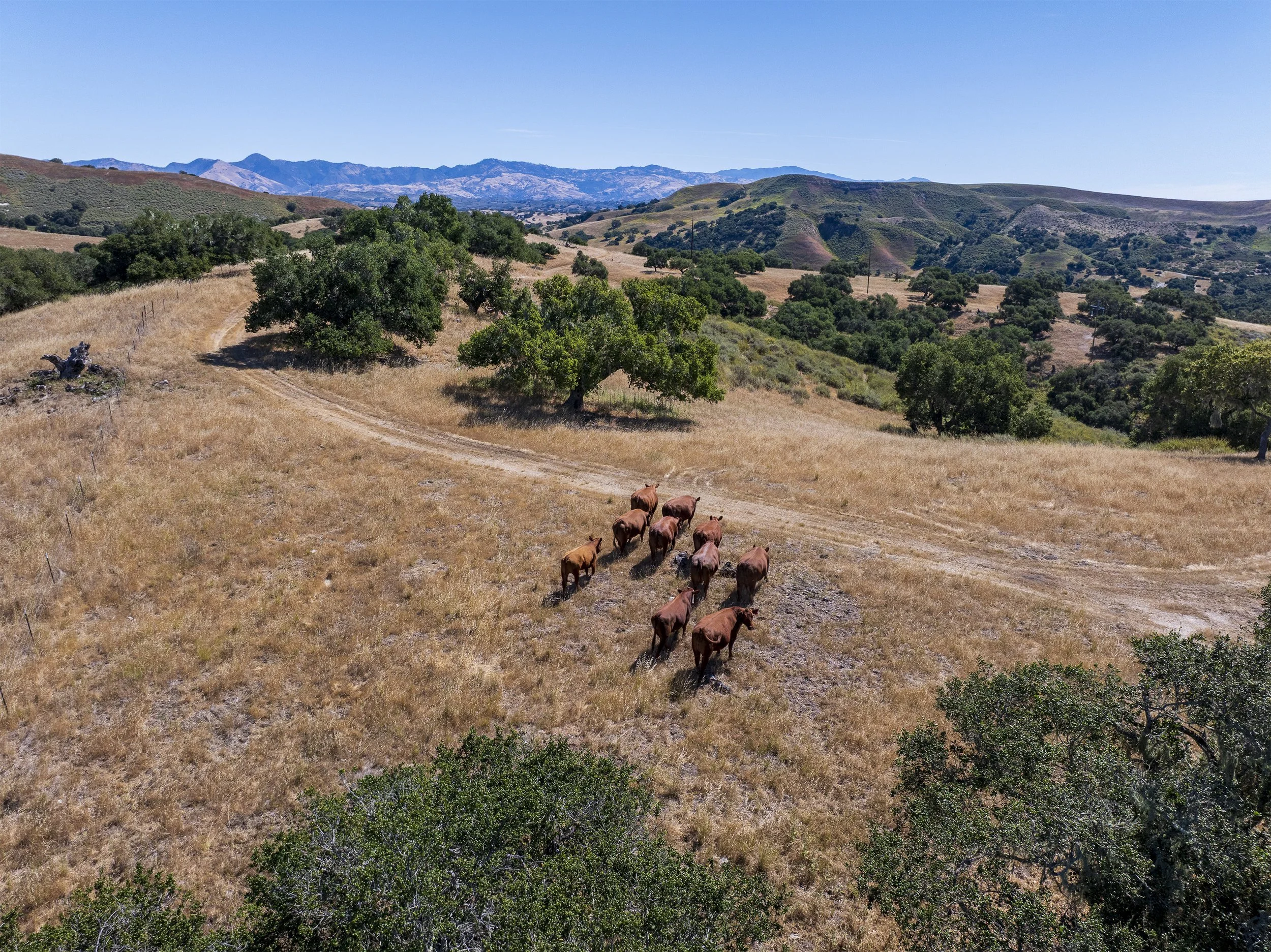 49+MLS++-+3226+Jalama.jpg