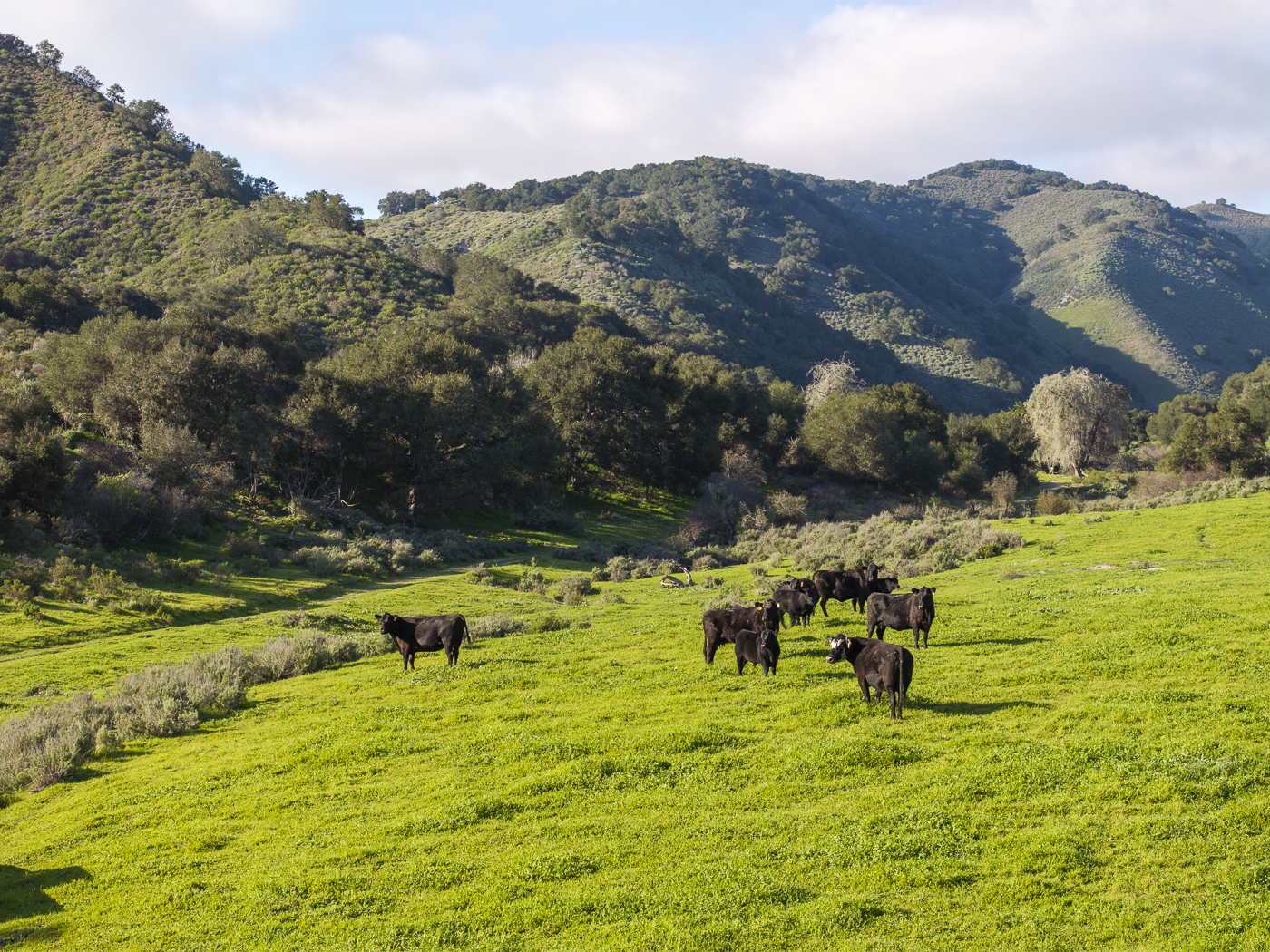 Red Rock Ranch - Web-07.png