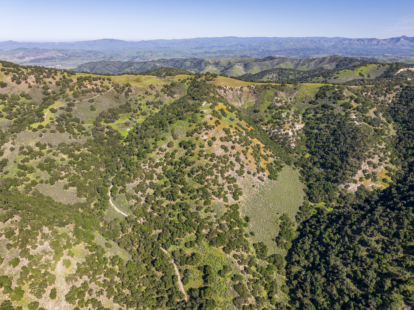 Red Rock Ranch - Web-33.png