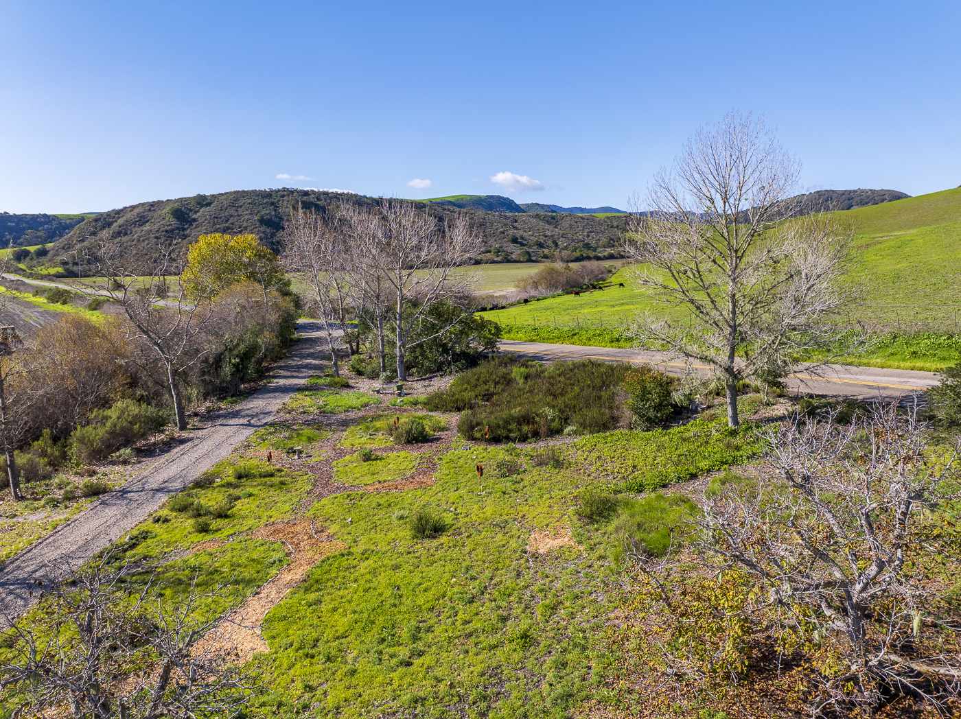 3226 Jalama Rd - MLS Web-3.png