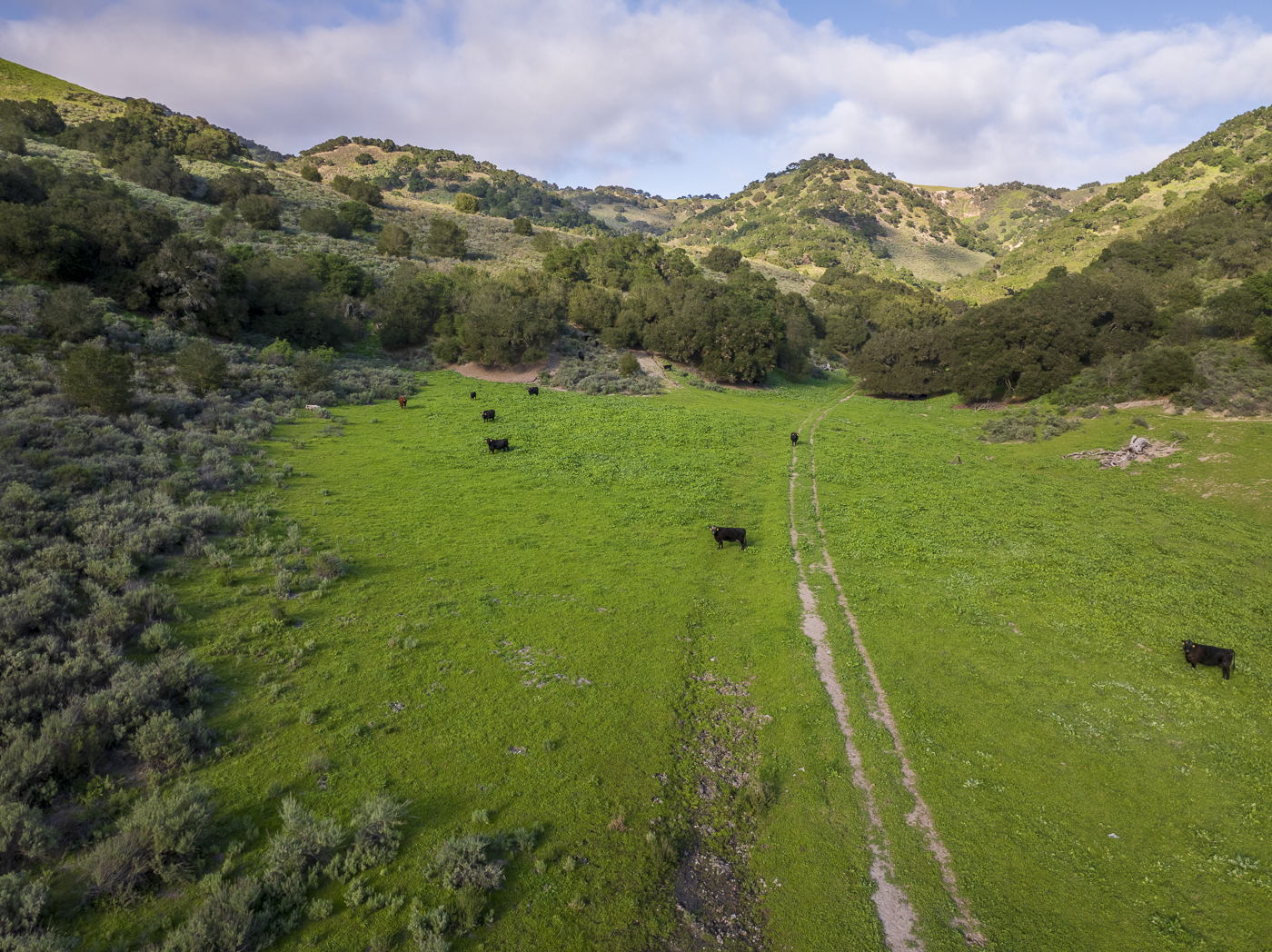 Red Rock Ranch - Web-14.png