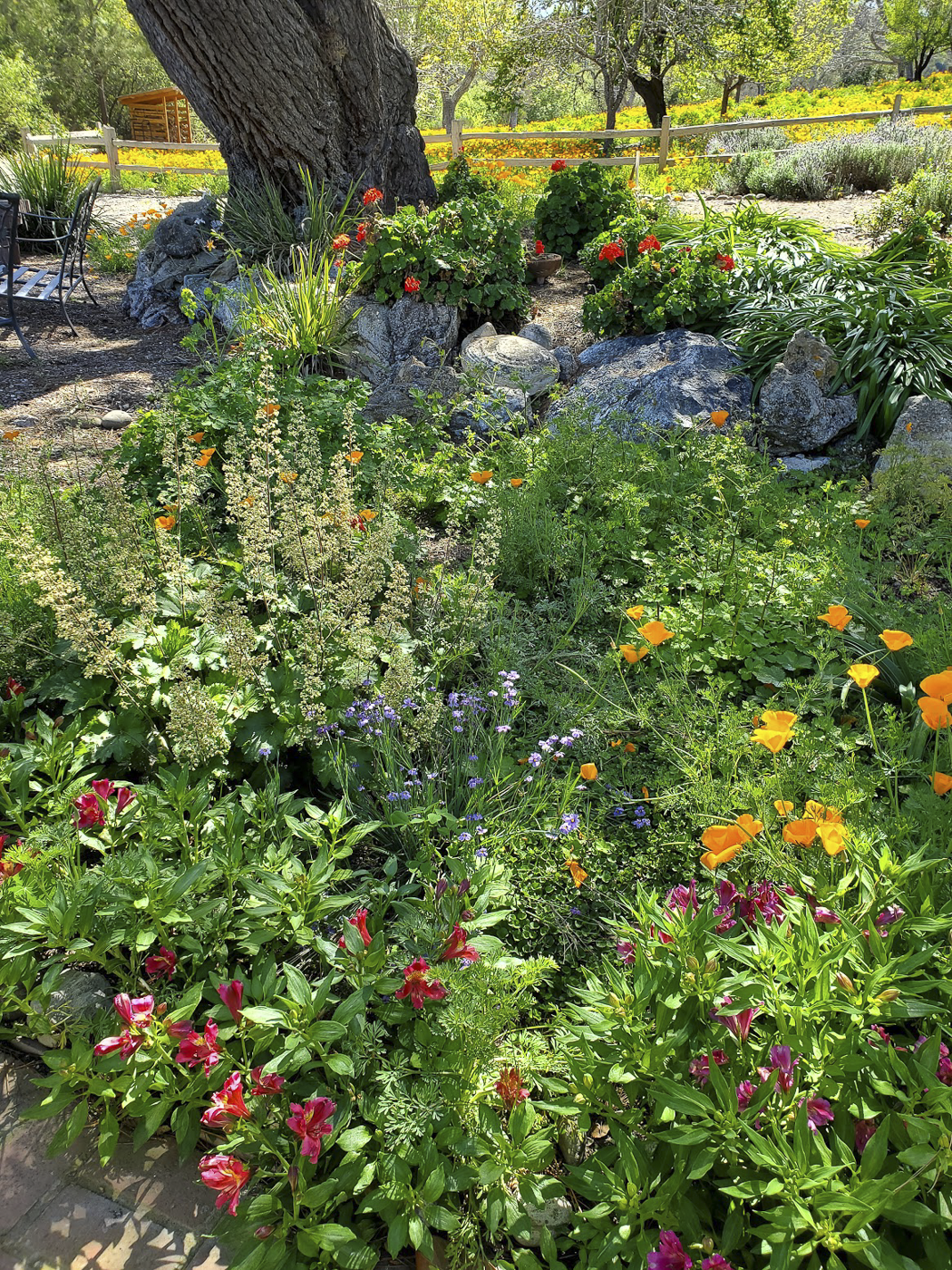 3226 Jalama Rd - MLS Web-14.png