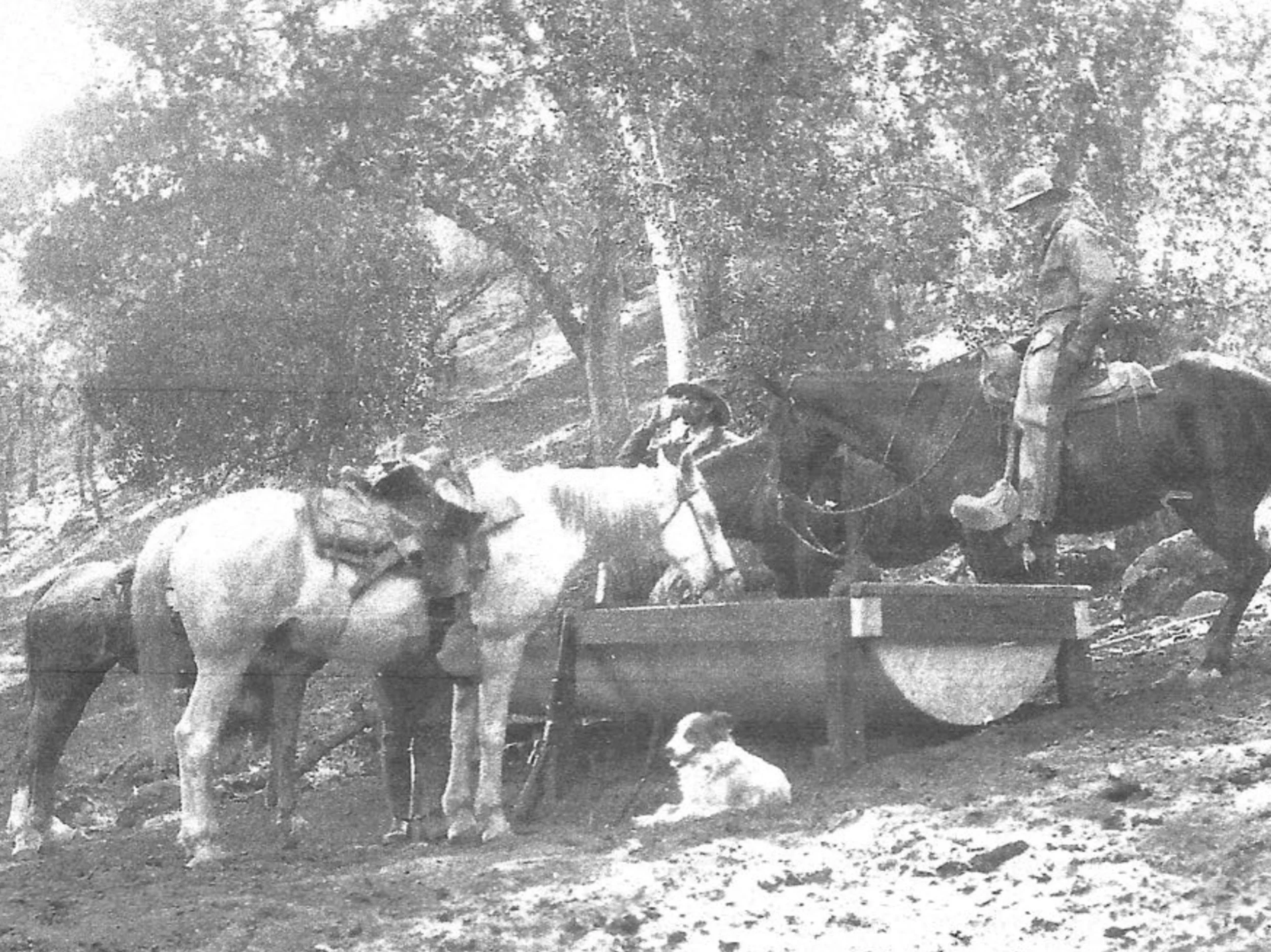 Huasna+Historical+Photos+Horizontal+-+2.jpg