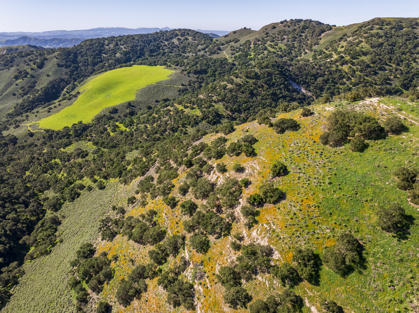 Red Rock Ranch - Web-32.png