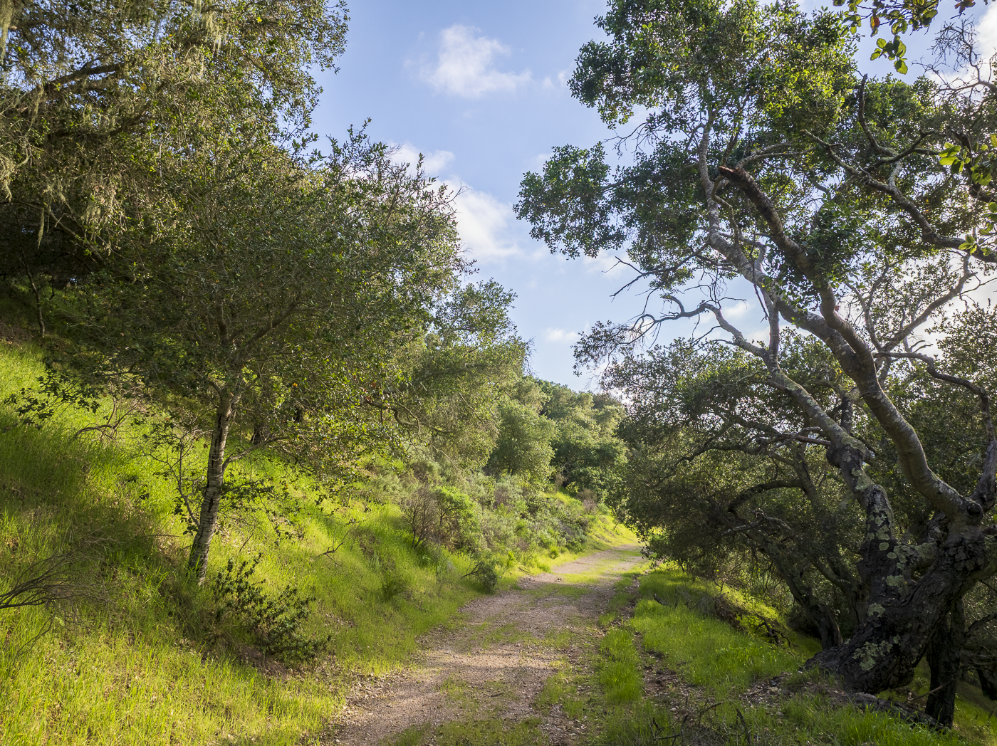 Red Rock Ranch - Web-15.png