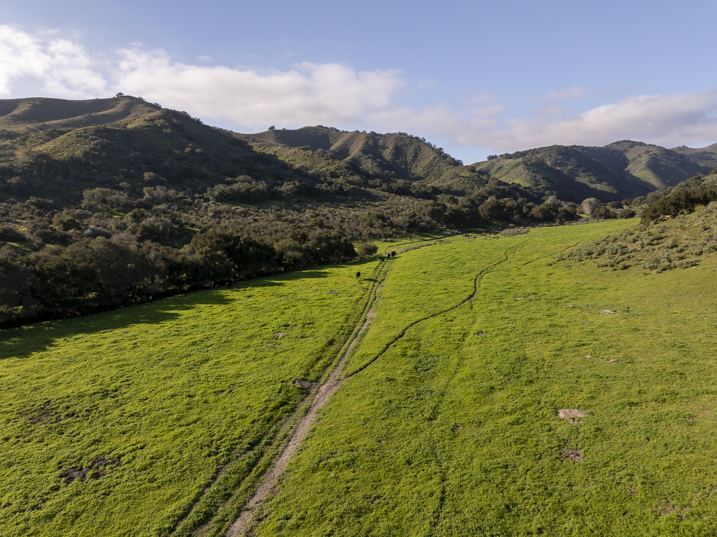 Red Rock Ranch - Web-06.png