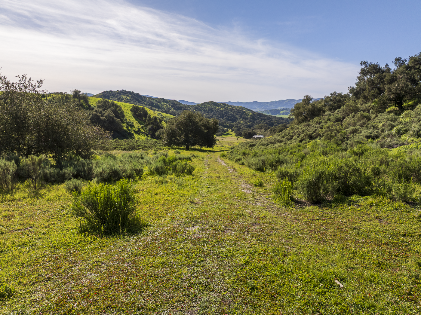 Red Rock Ranch - Web-45.png