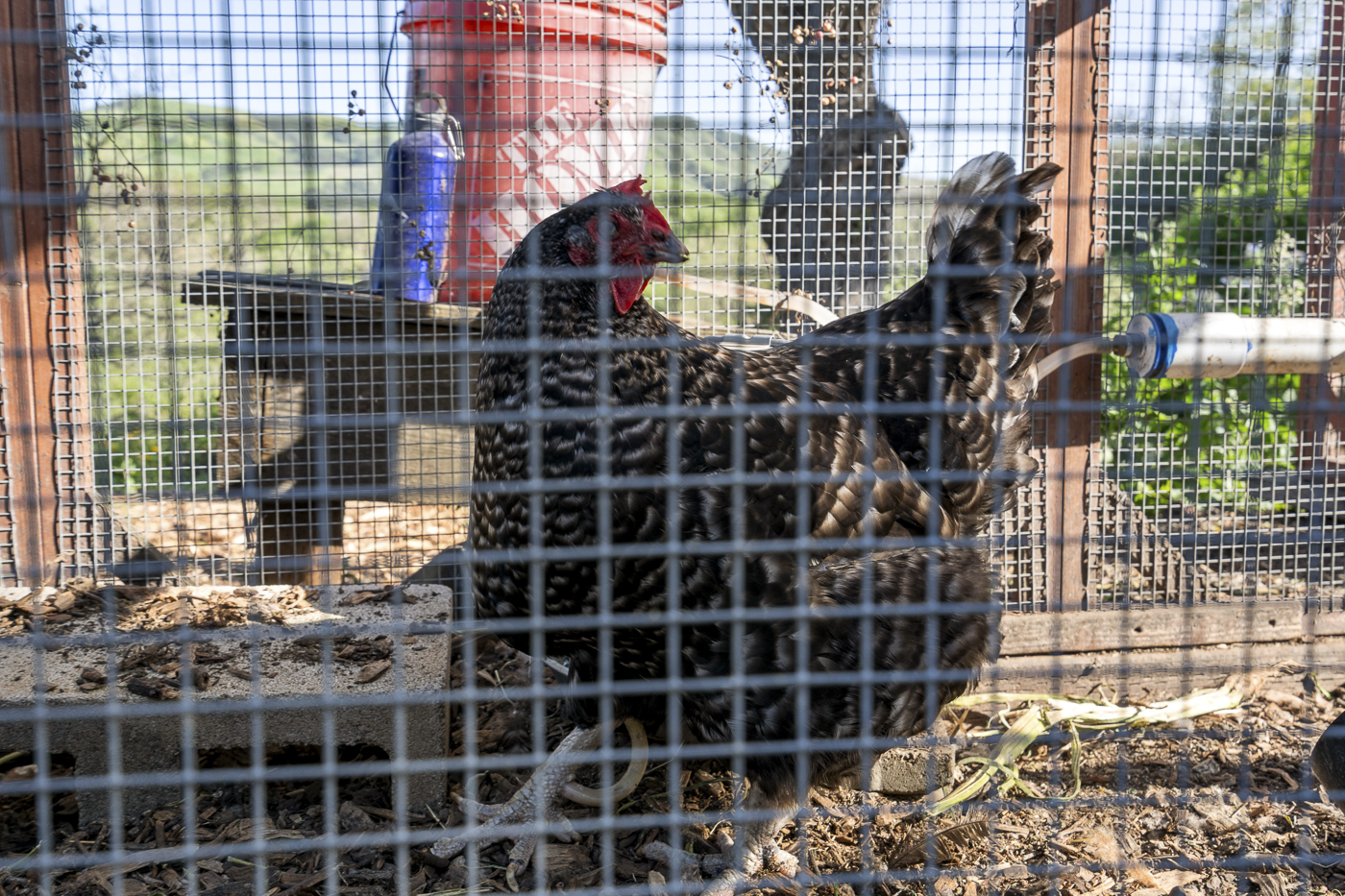 3226 Jalama Rd - MLS Web-72.png