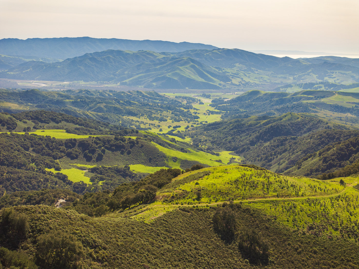 Red Rock Ranch - Web-37.png