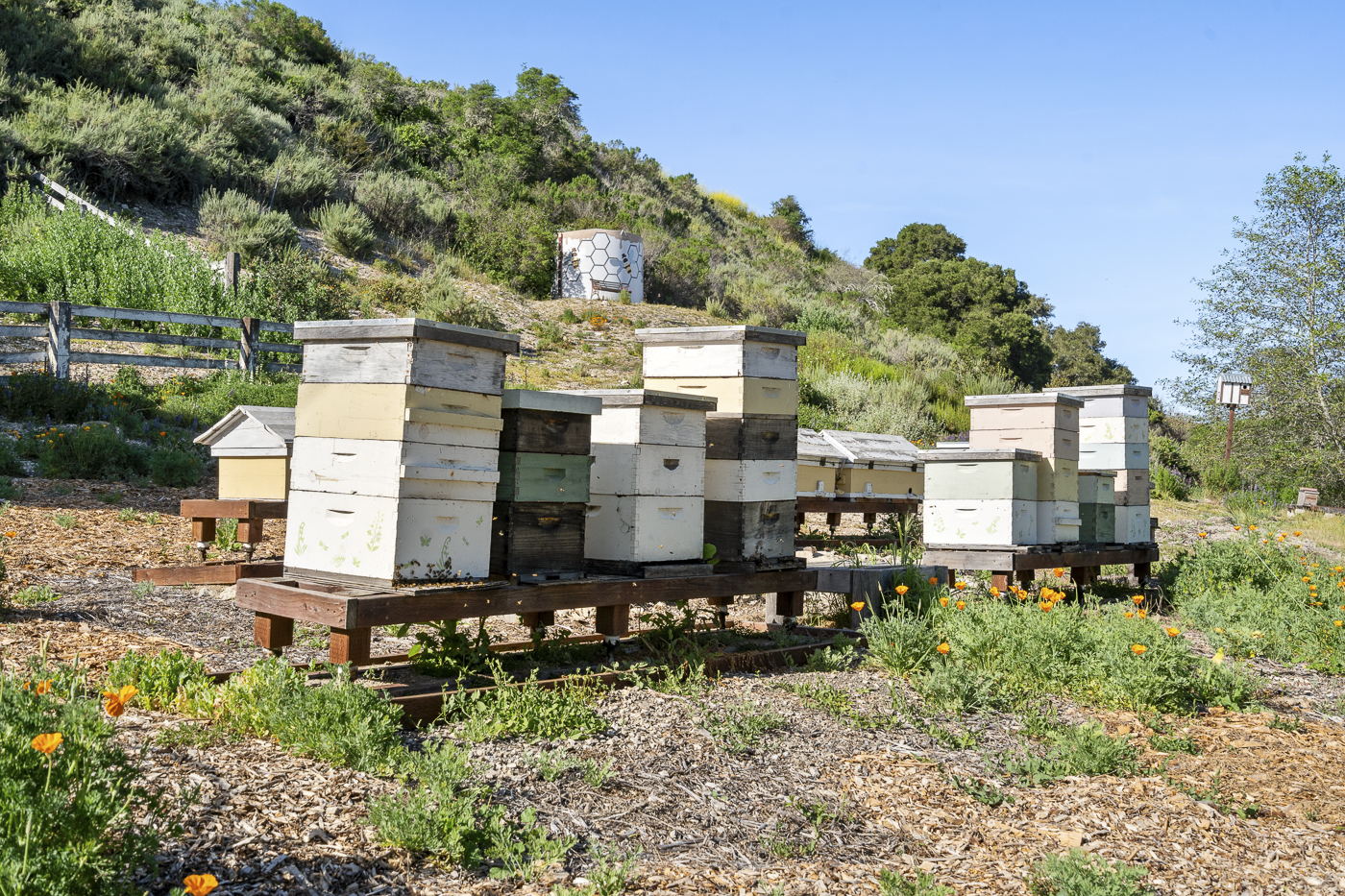 3226 Jalama Rd - MLS Web-73.png